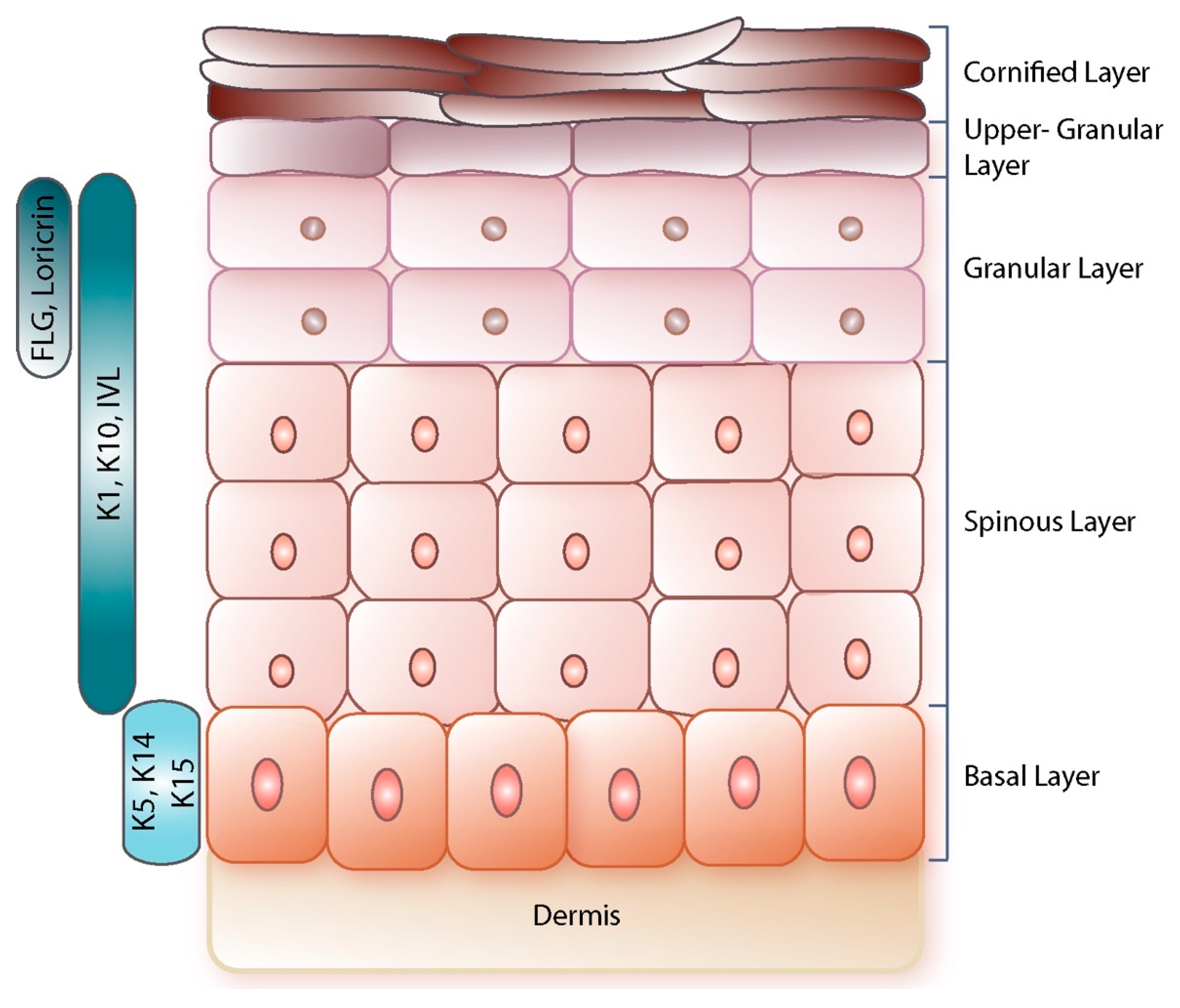 Viruses 14 00982 g001