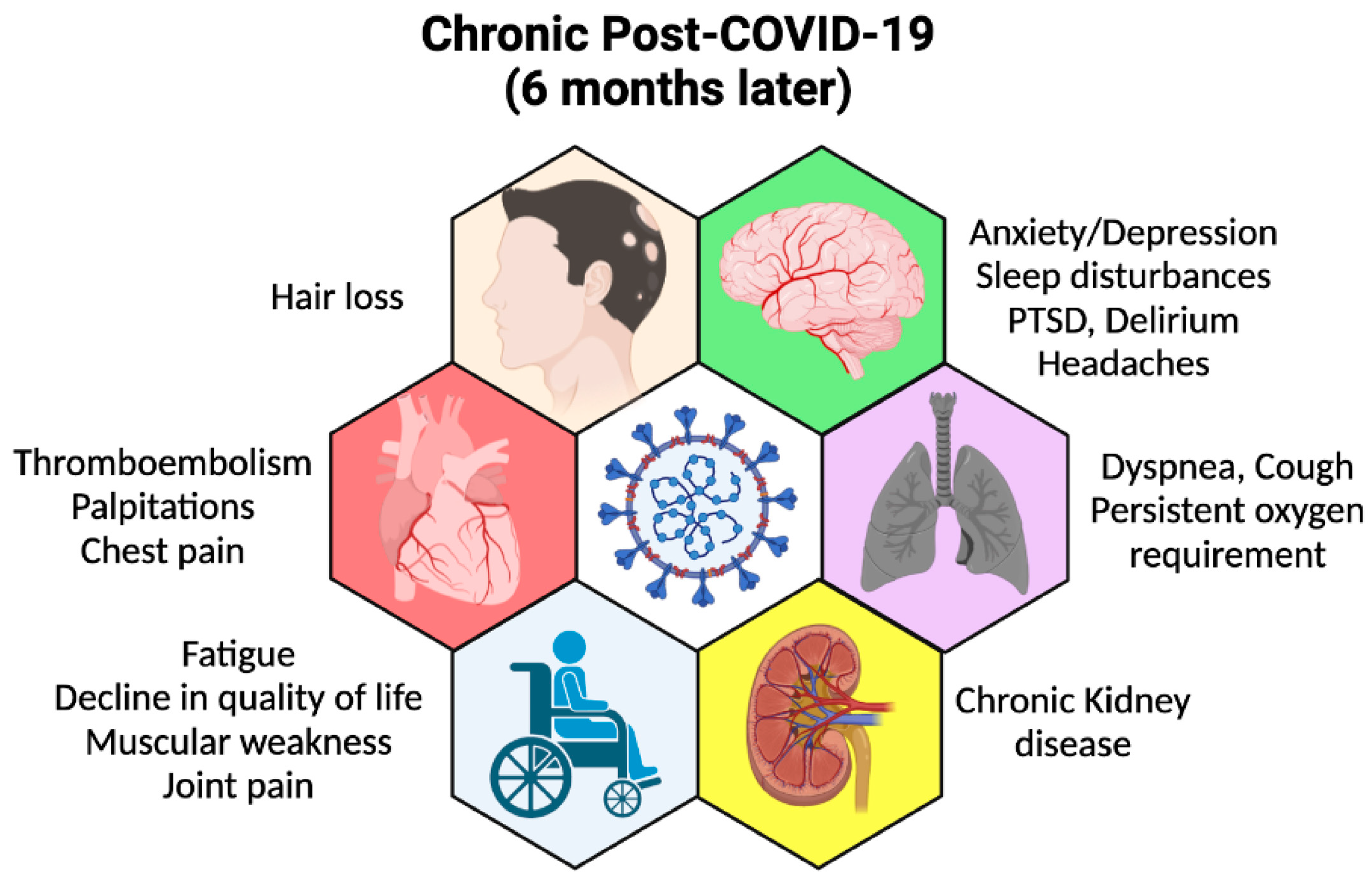 Viruses 14 00983 g001