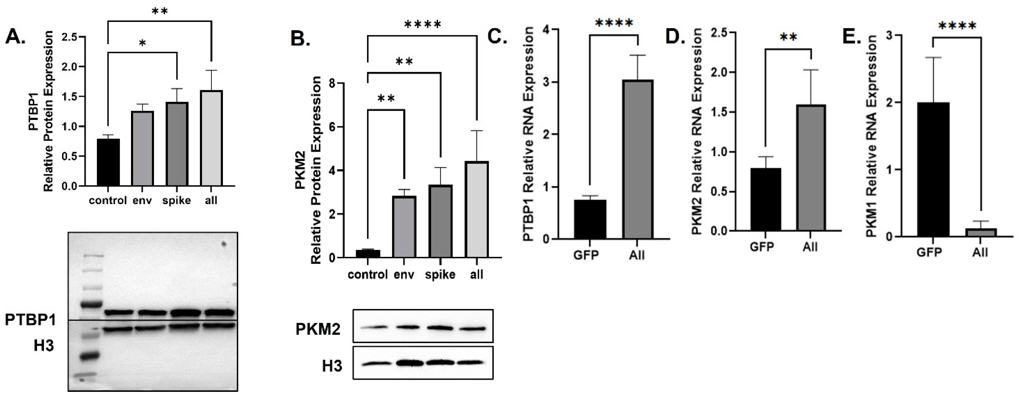 Viruses 14 00983 g003