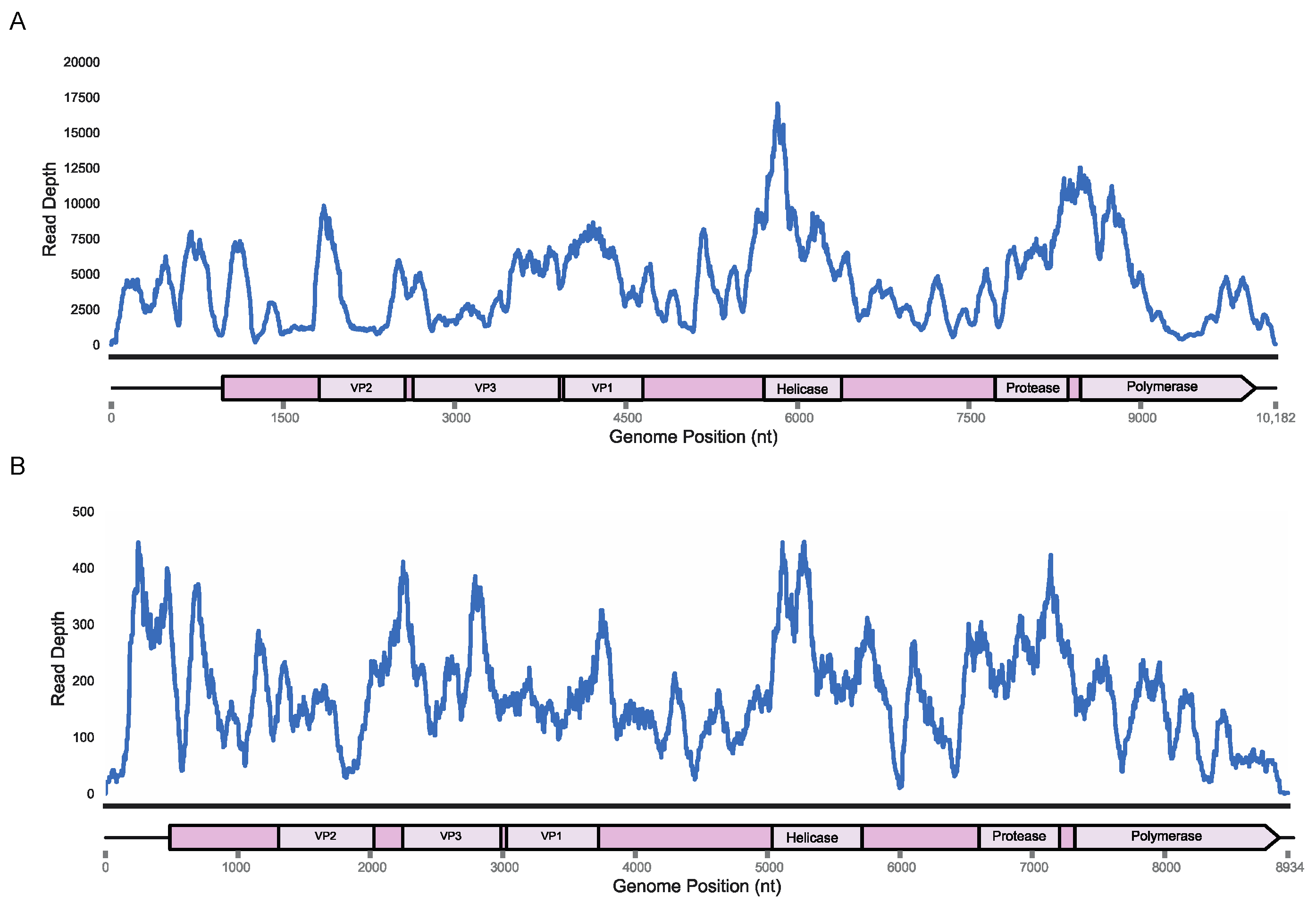 Viruses 14 00994 g001