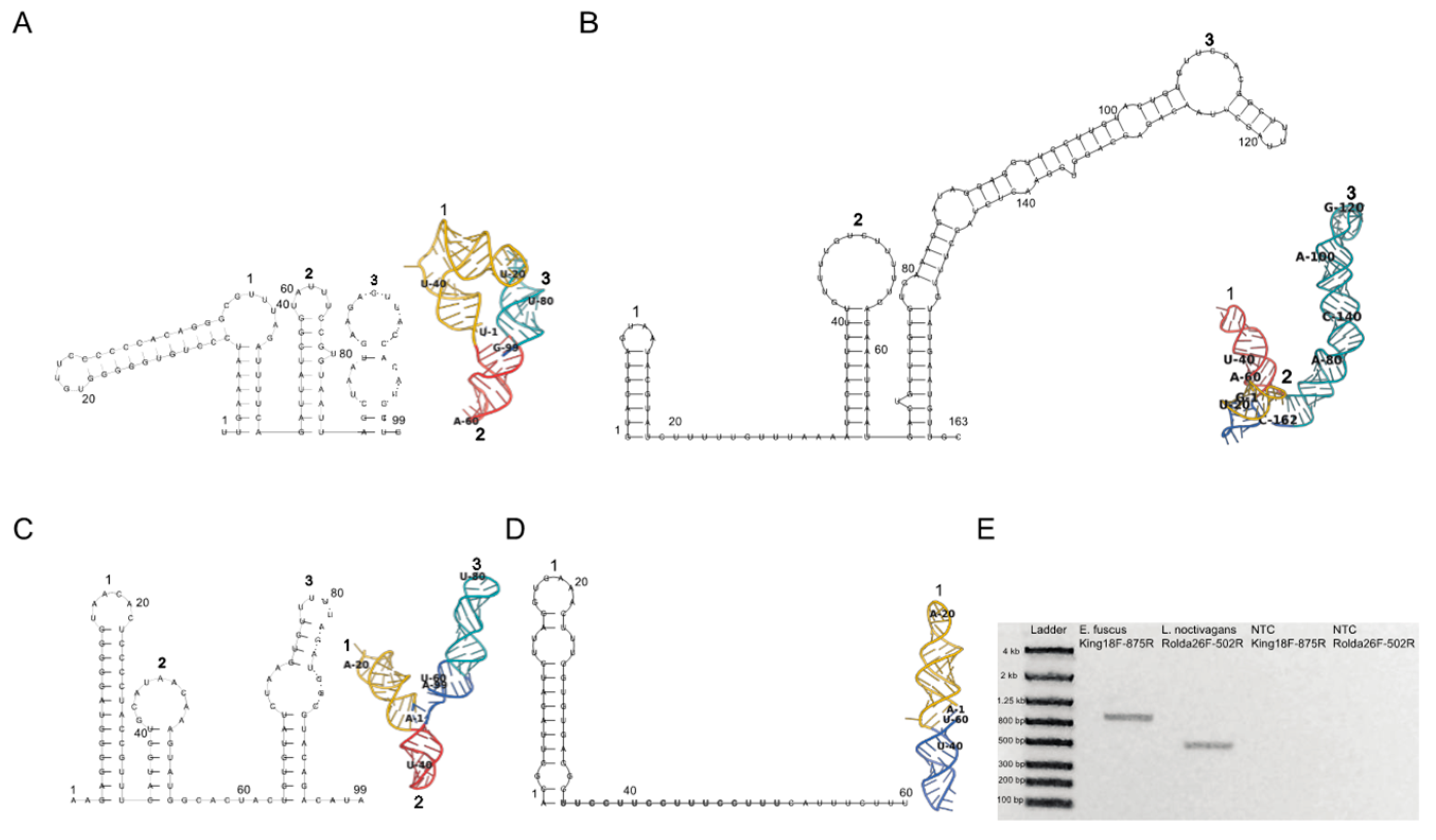 Viruses 14 00994 g002