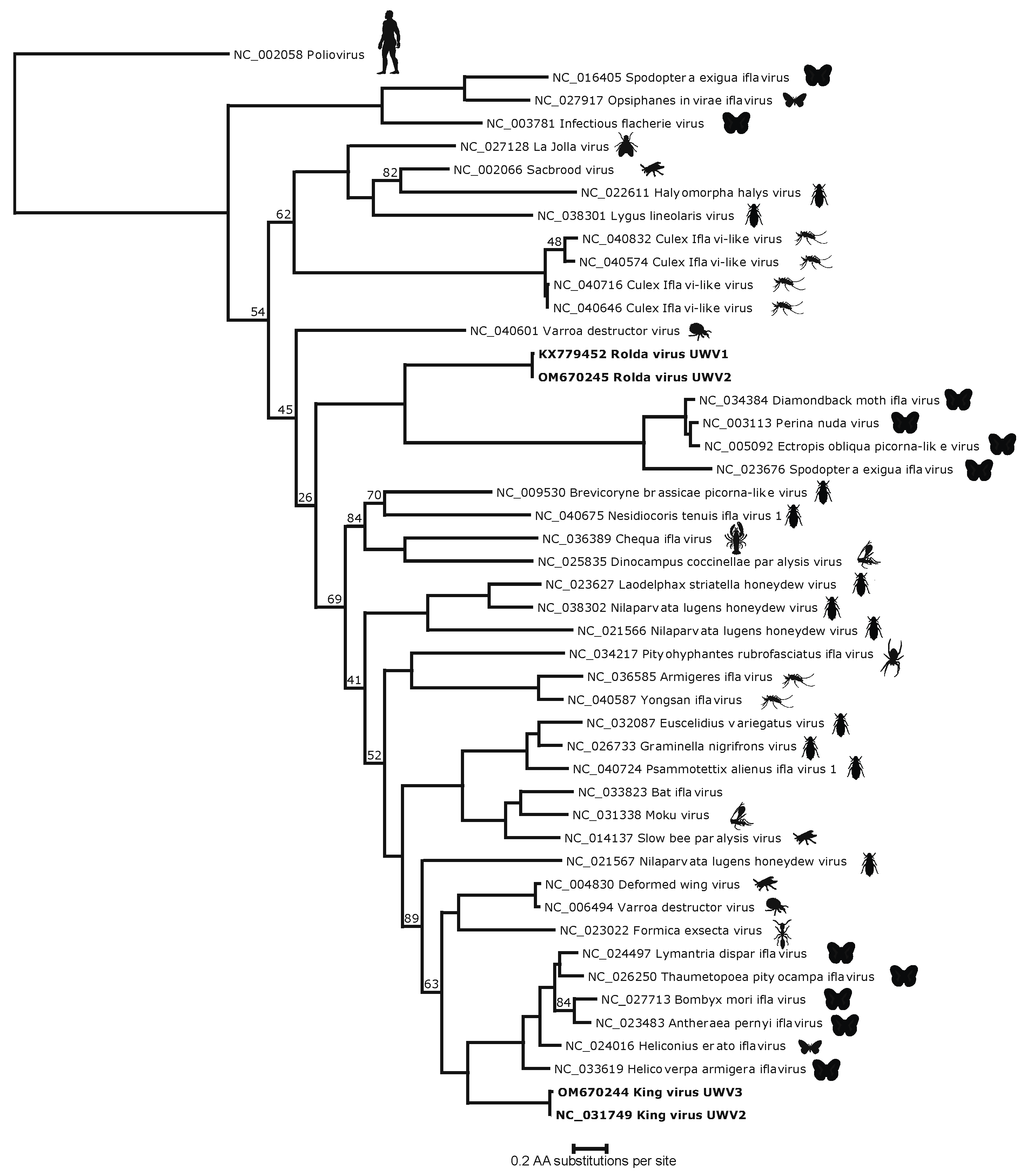 Viruses 14 00994 g003
