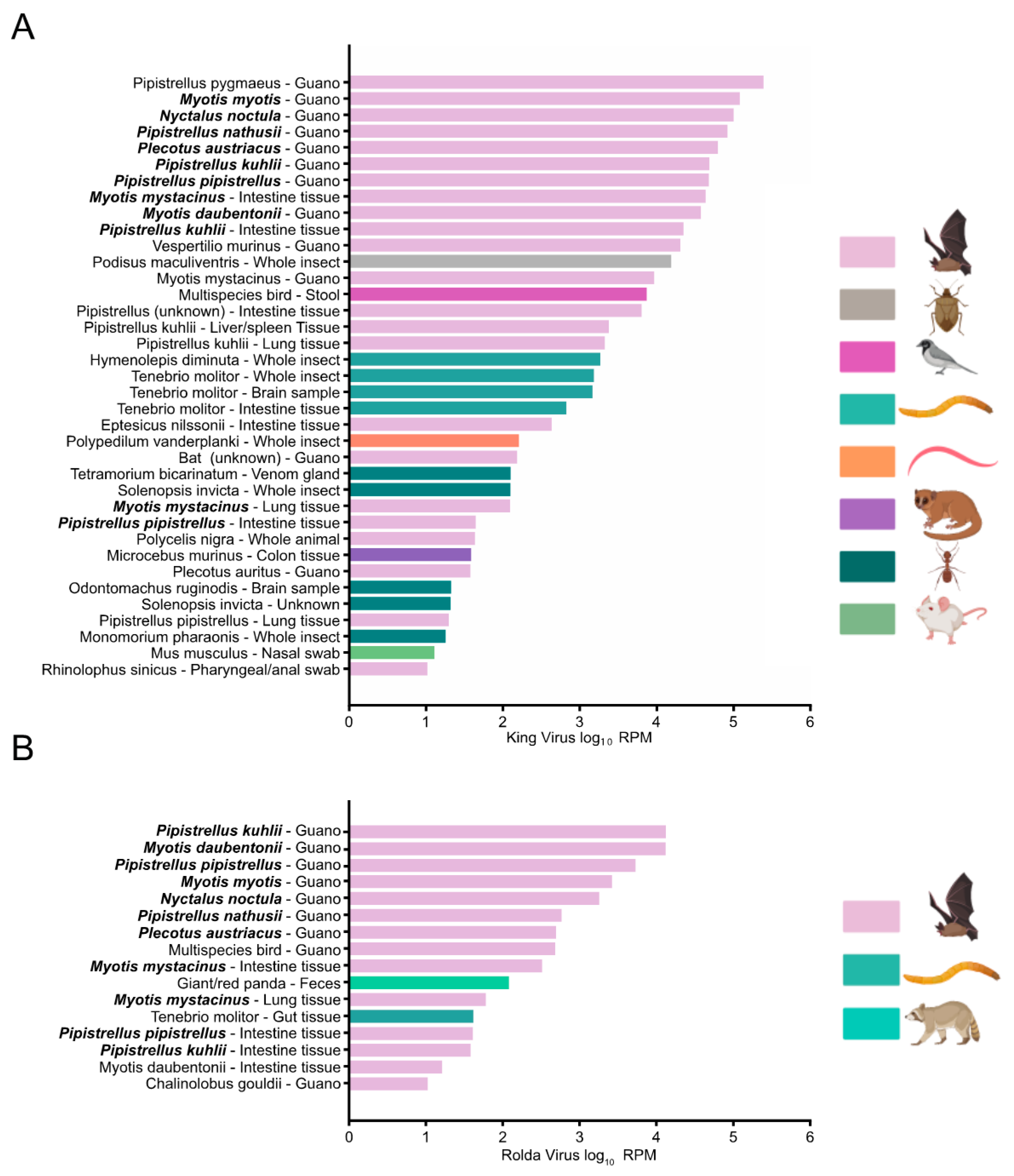 Viruses 14 00994 g004