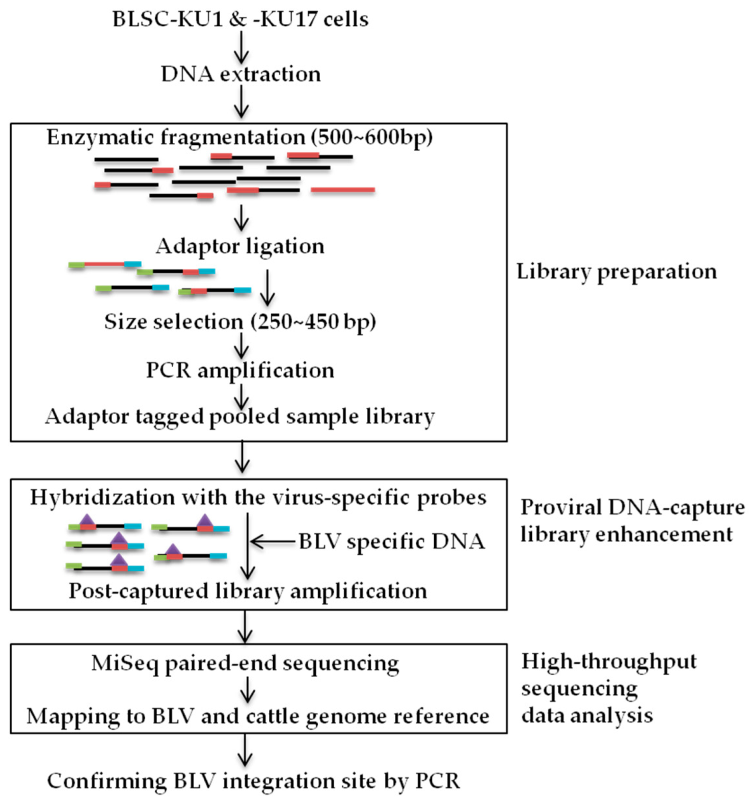 Viruses 14 00995 g001
