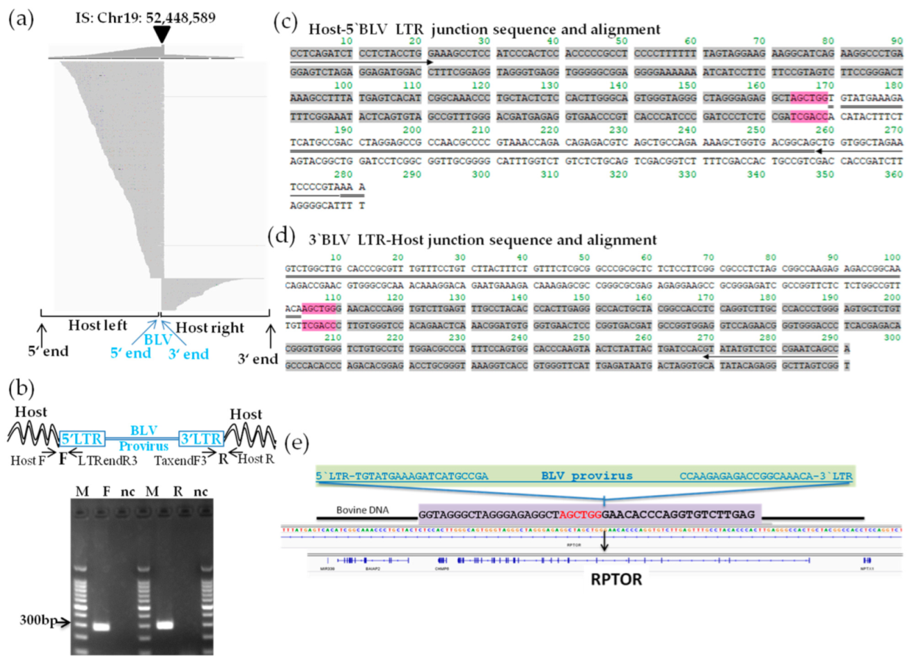 Viruses 14 00995 g005