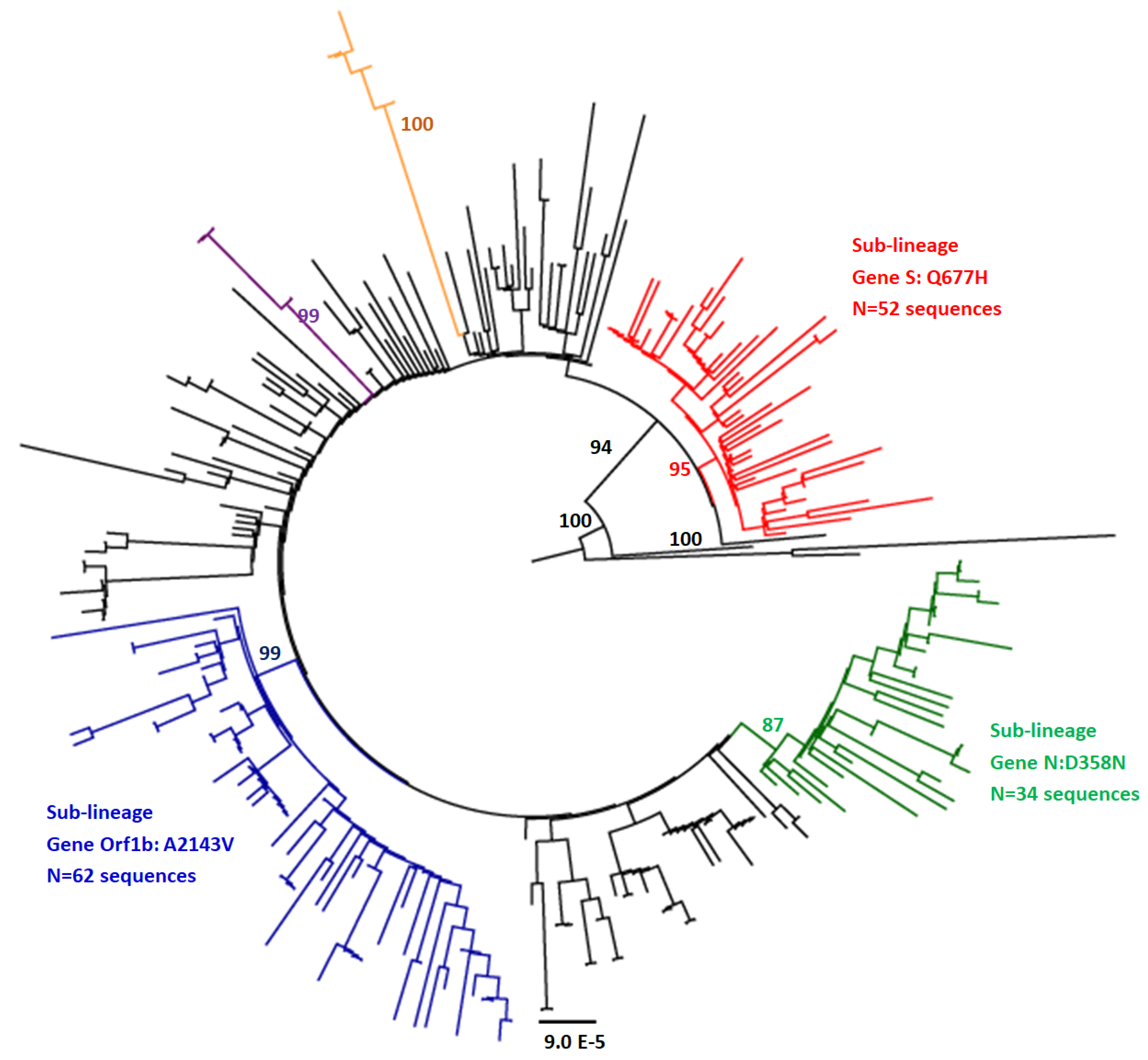 Viruses 14 01007 g003