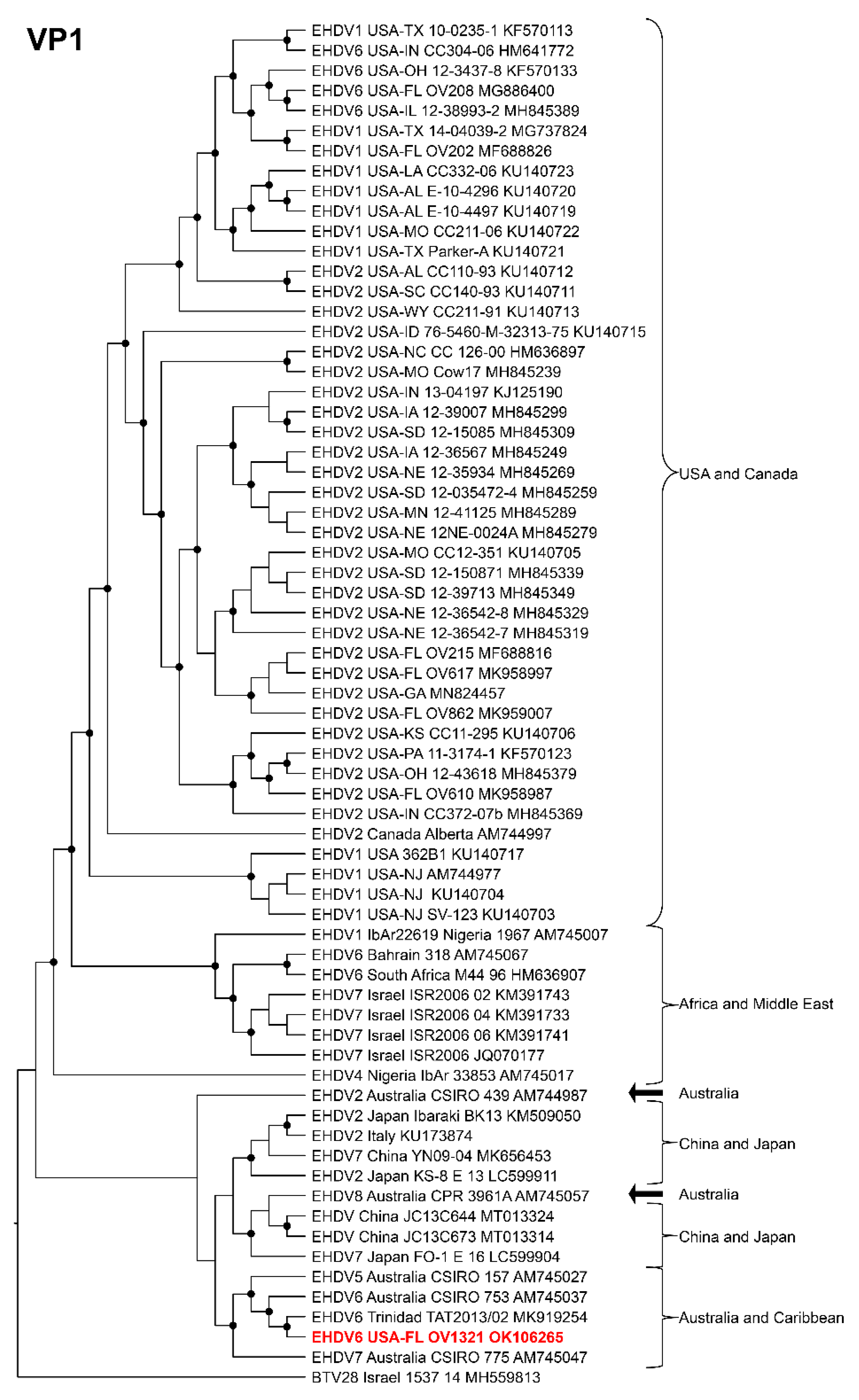 Viruses 14 01012 g004
