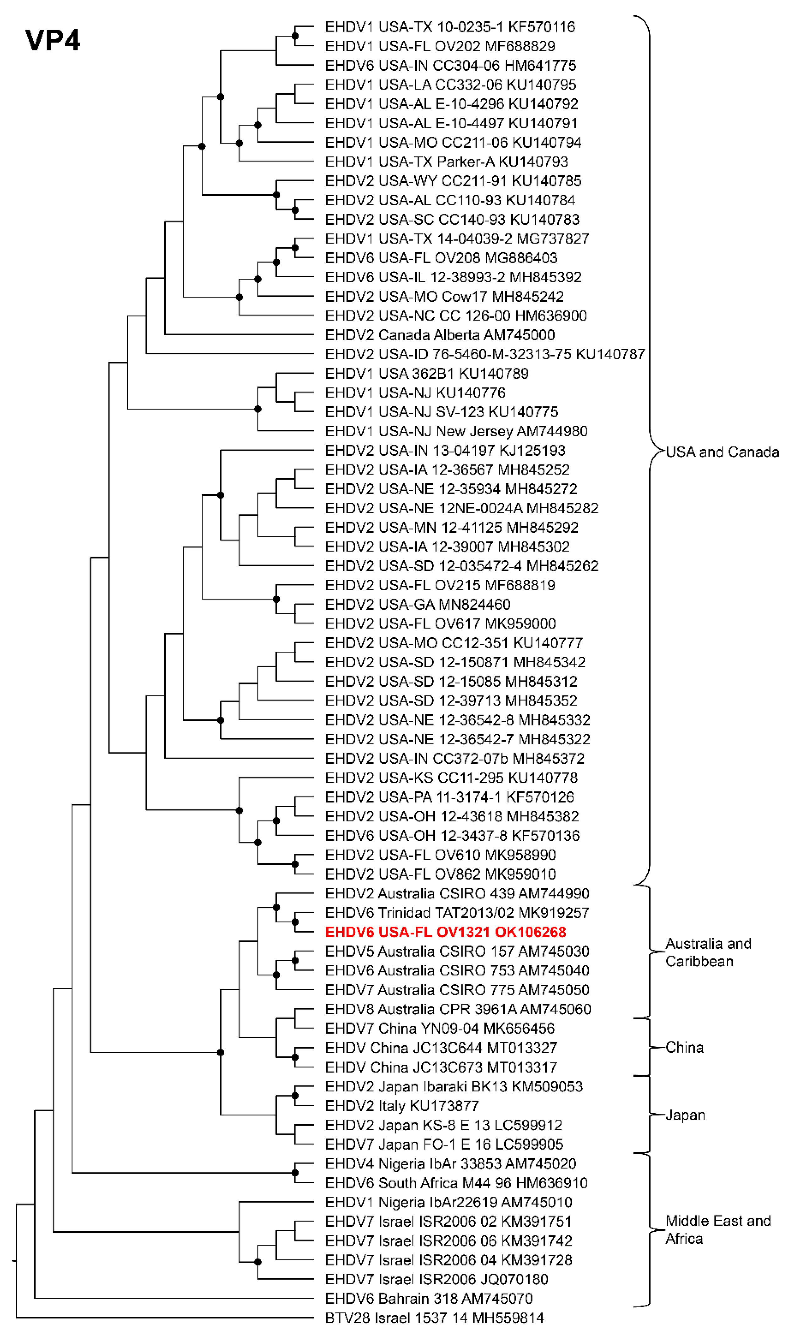 Viruses 14 01012 g005