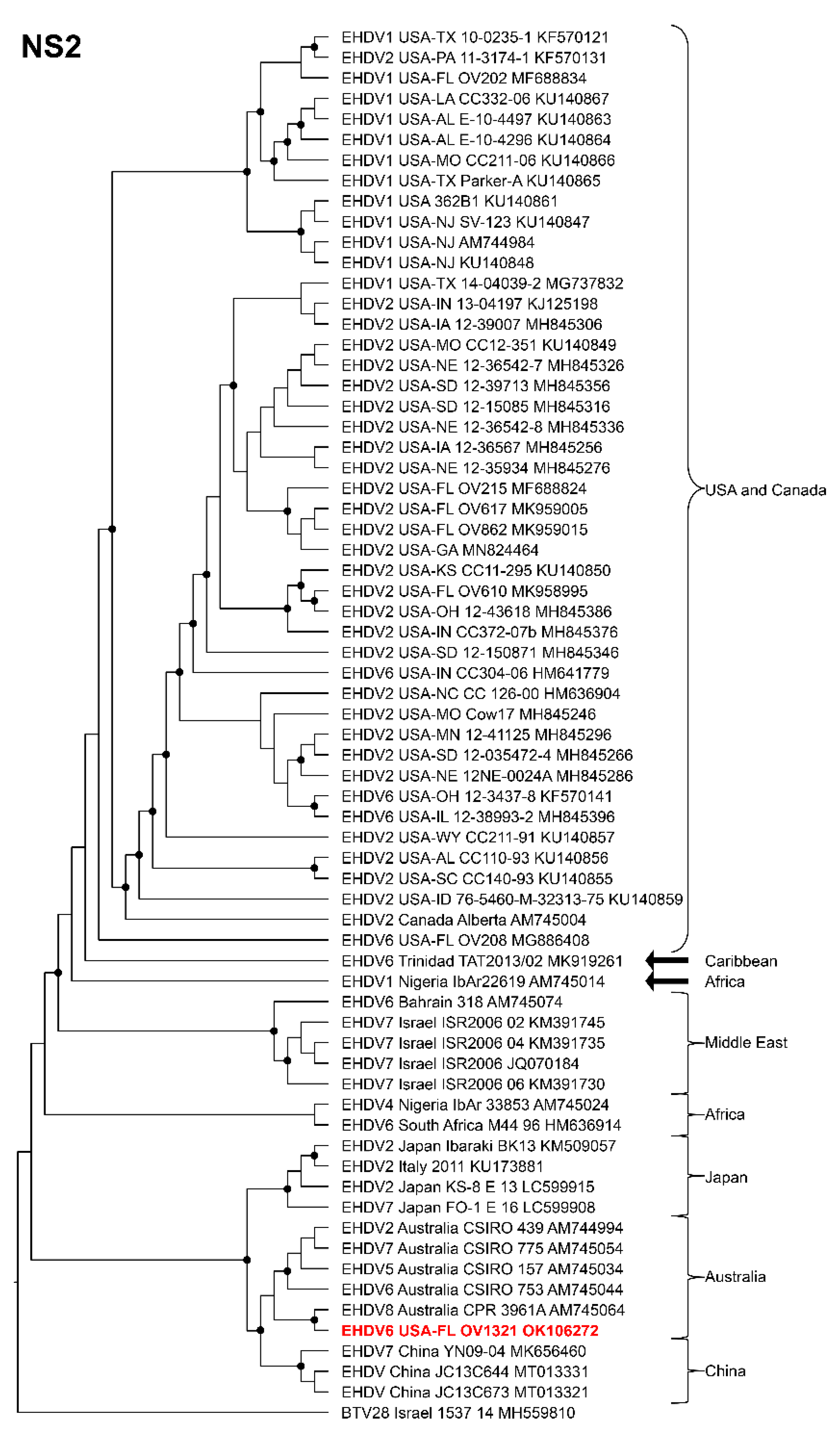 Viruses 14 01012 g006