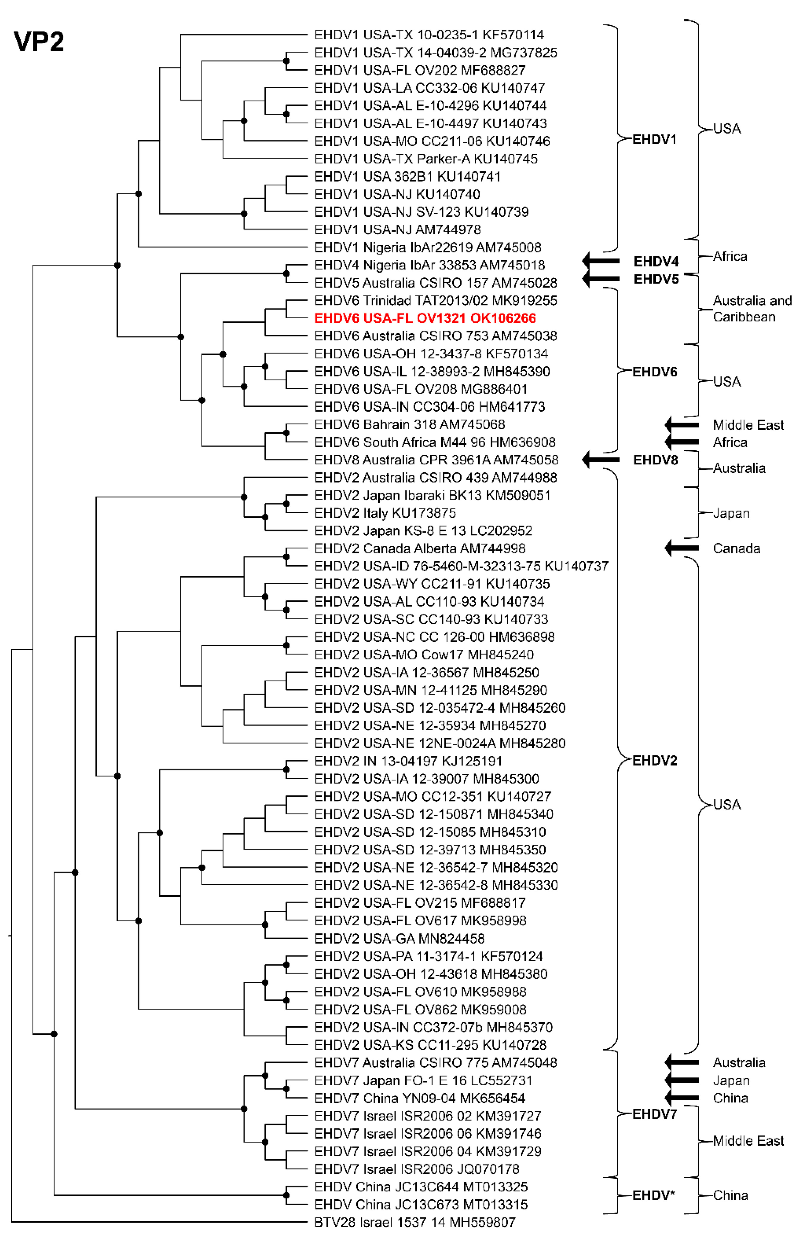 Viruses 14 01012 g007