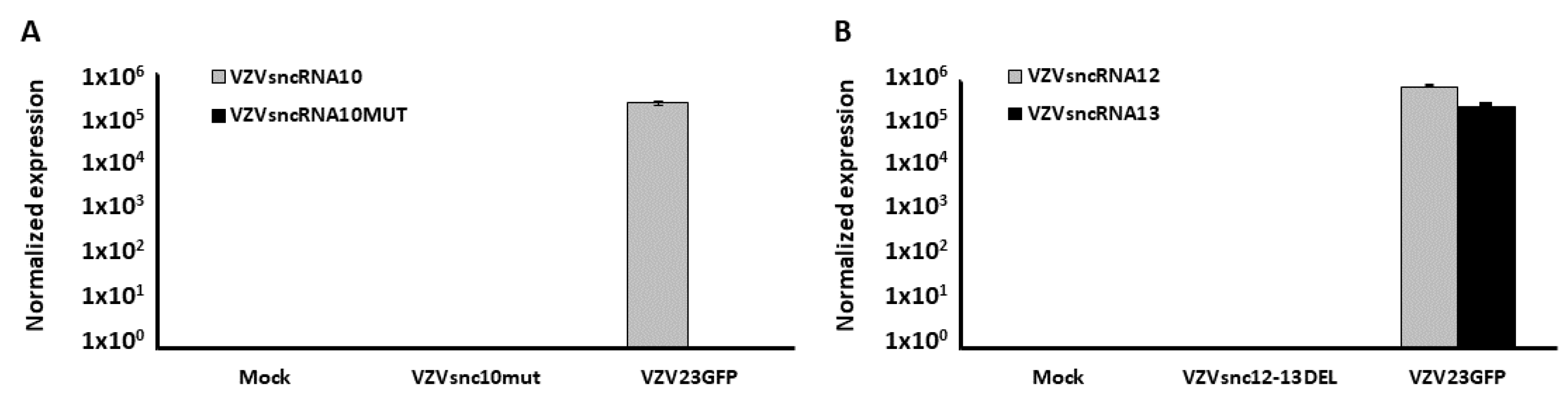 Viruses 14 01015 g002