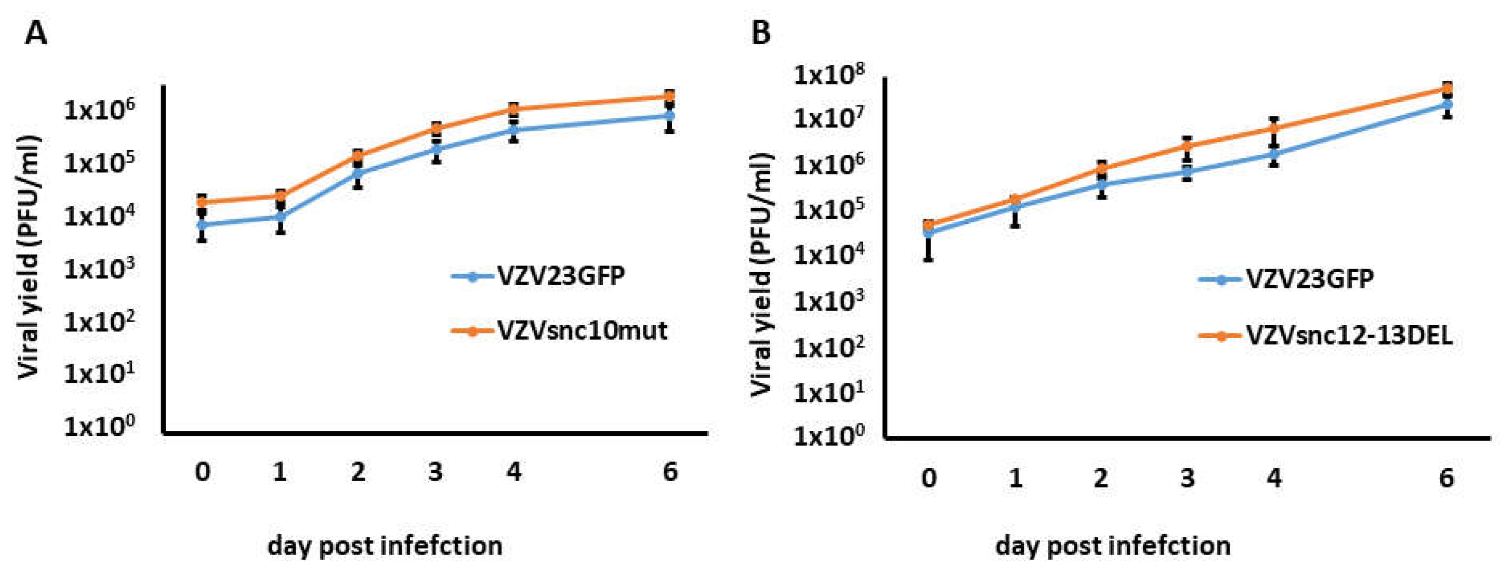 Viruses 14 01015 g003