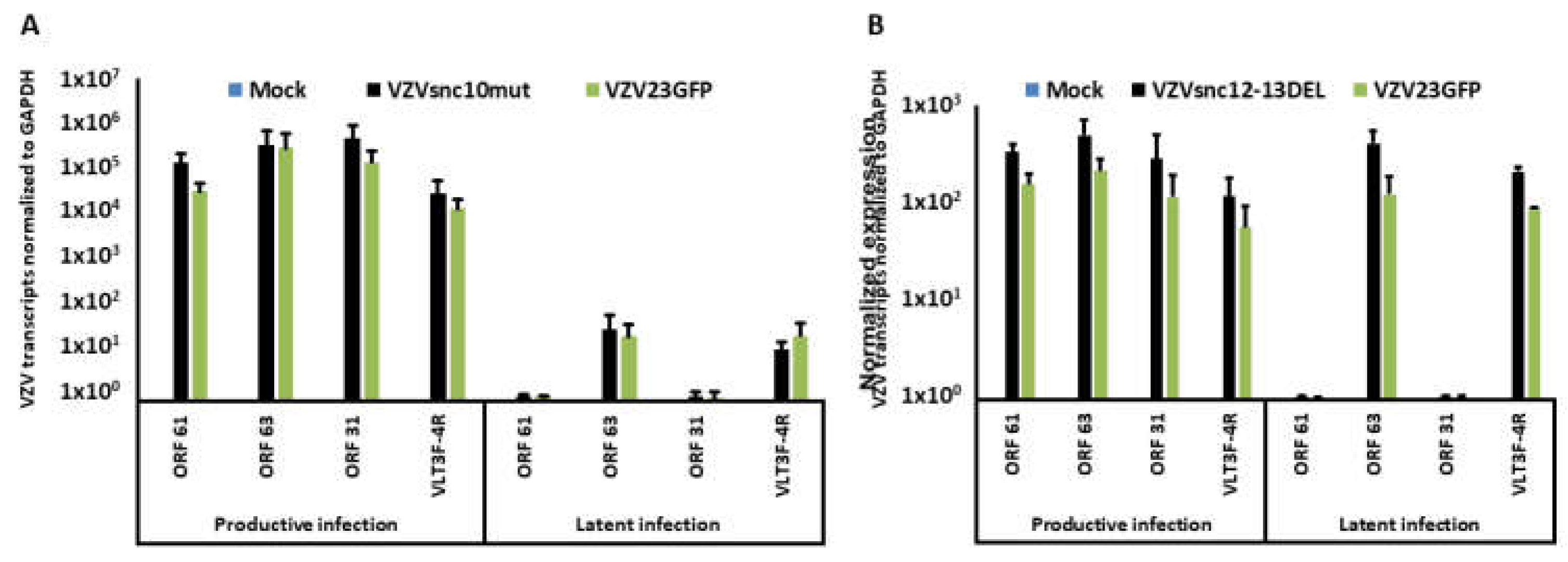 Viruses 14 01015 g005