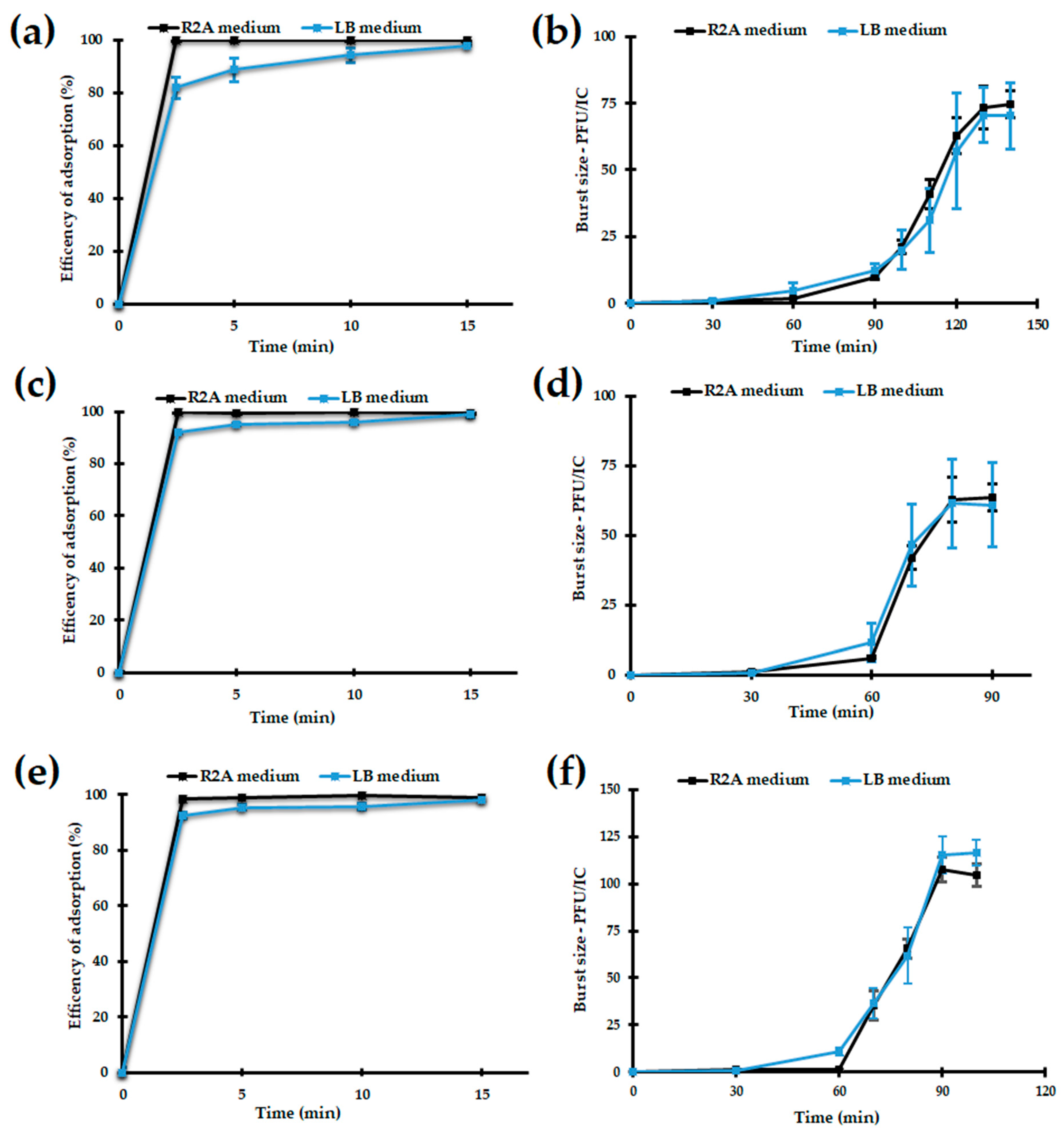 Viruses 14 01016 g003