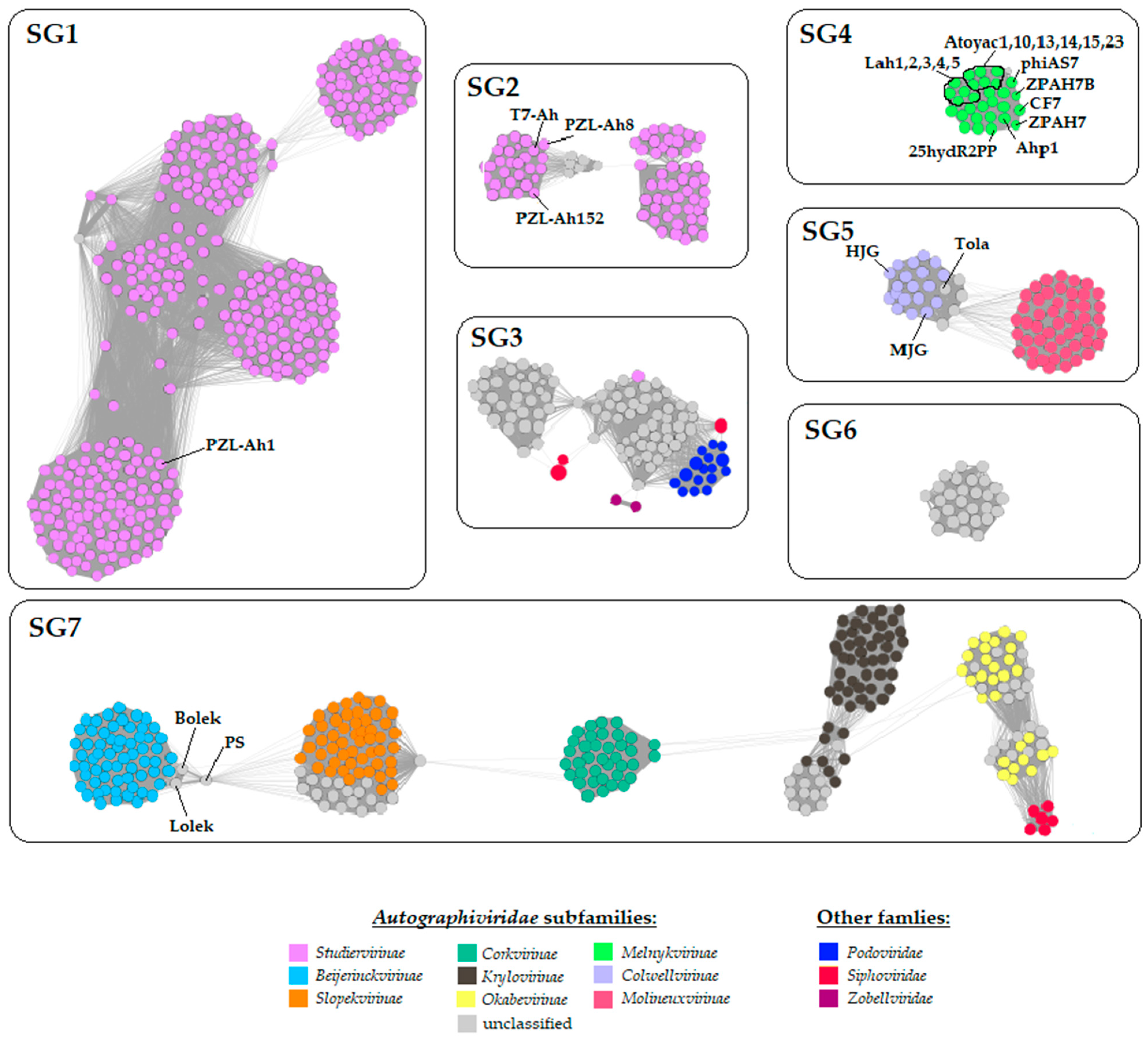 Viruses 14 01016 g005