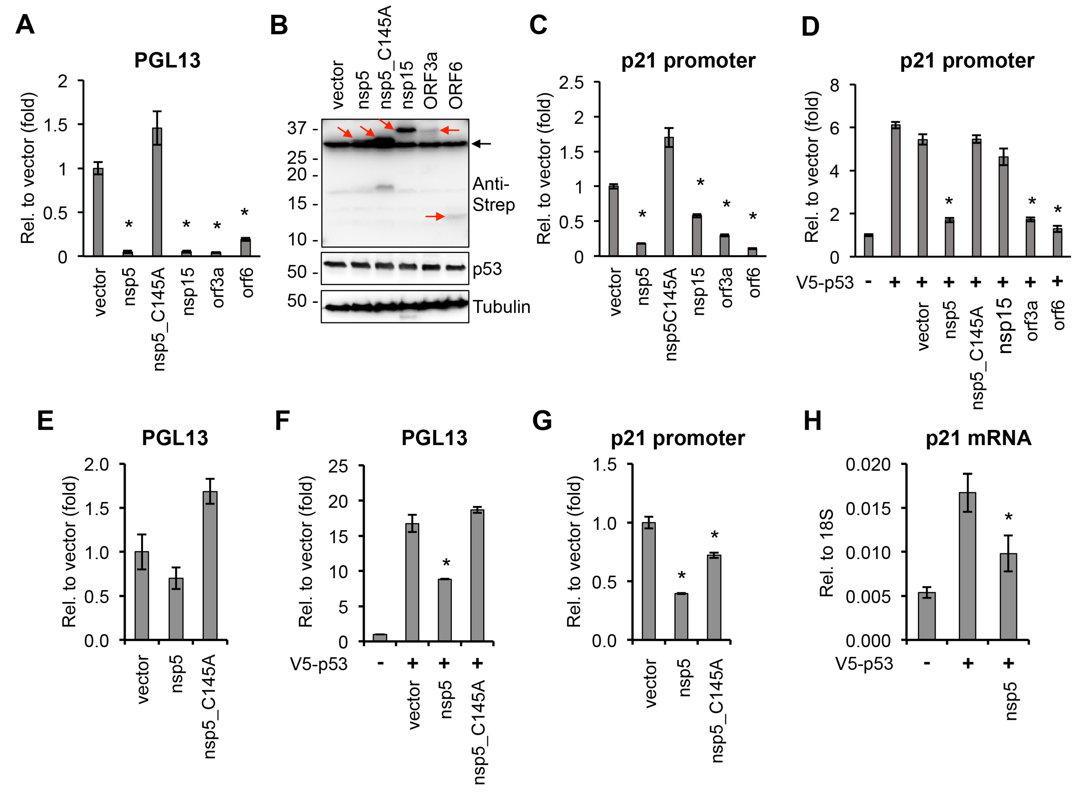 Viruses 14 01039 g002