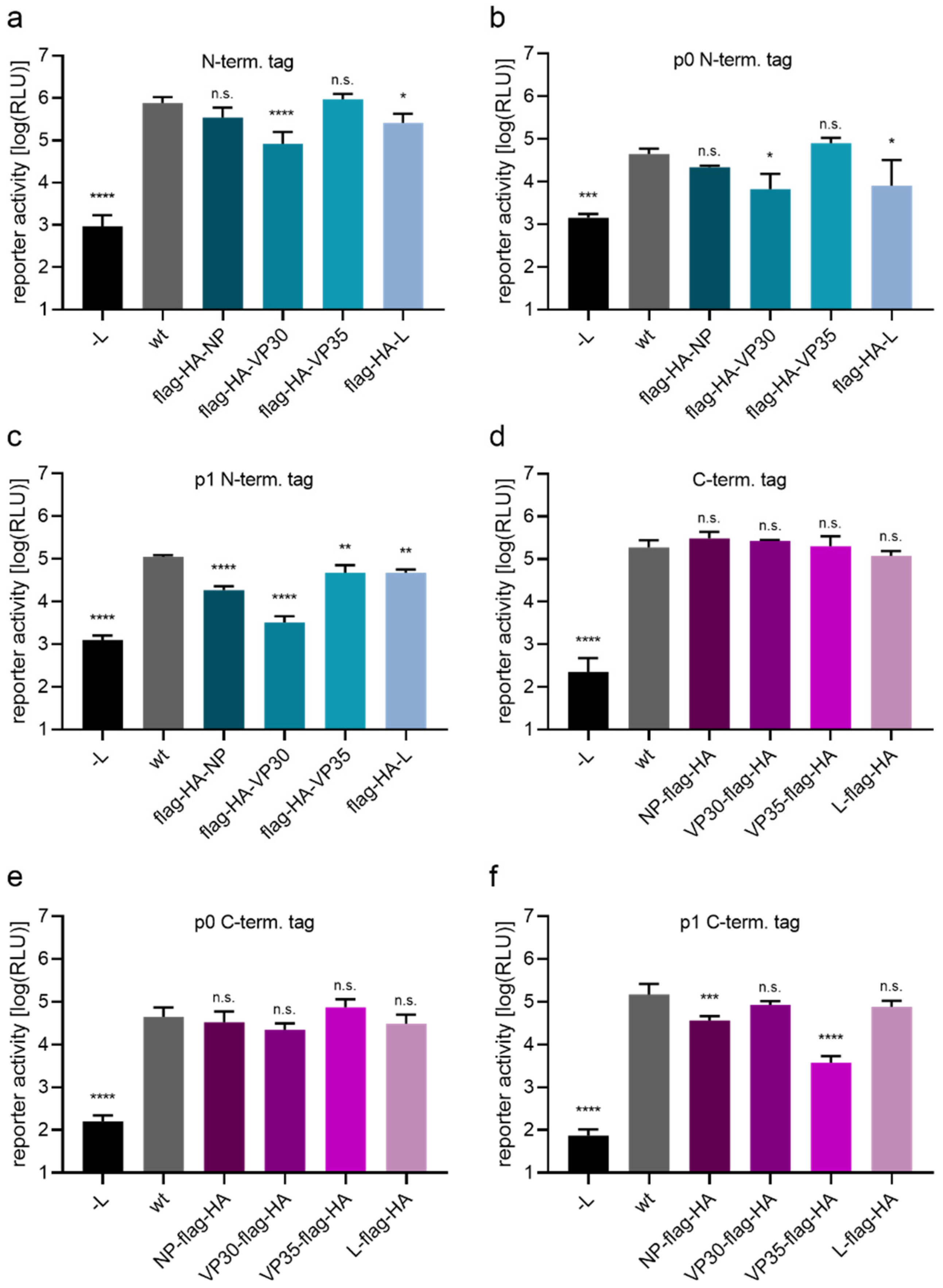 Viruses 14 01044 g001