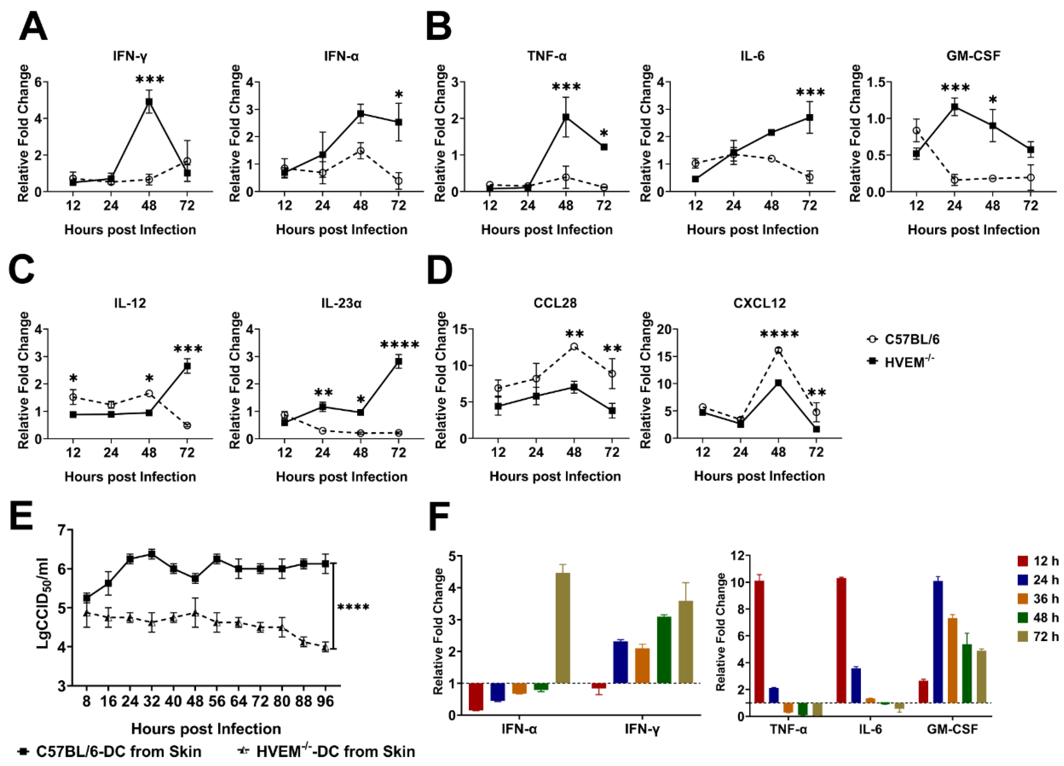 Viruses 14 01046 g003