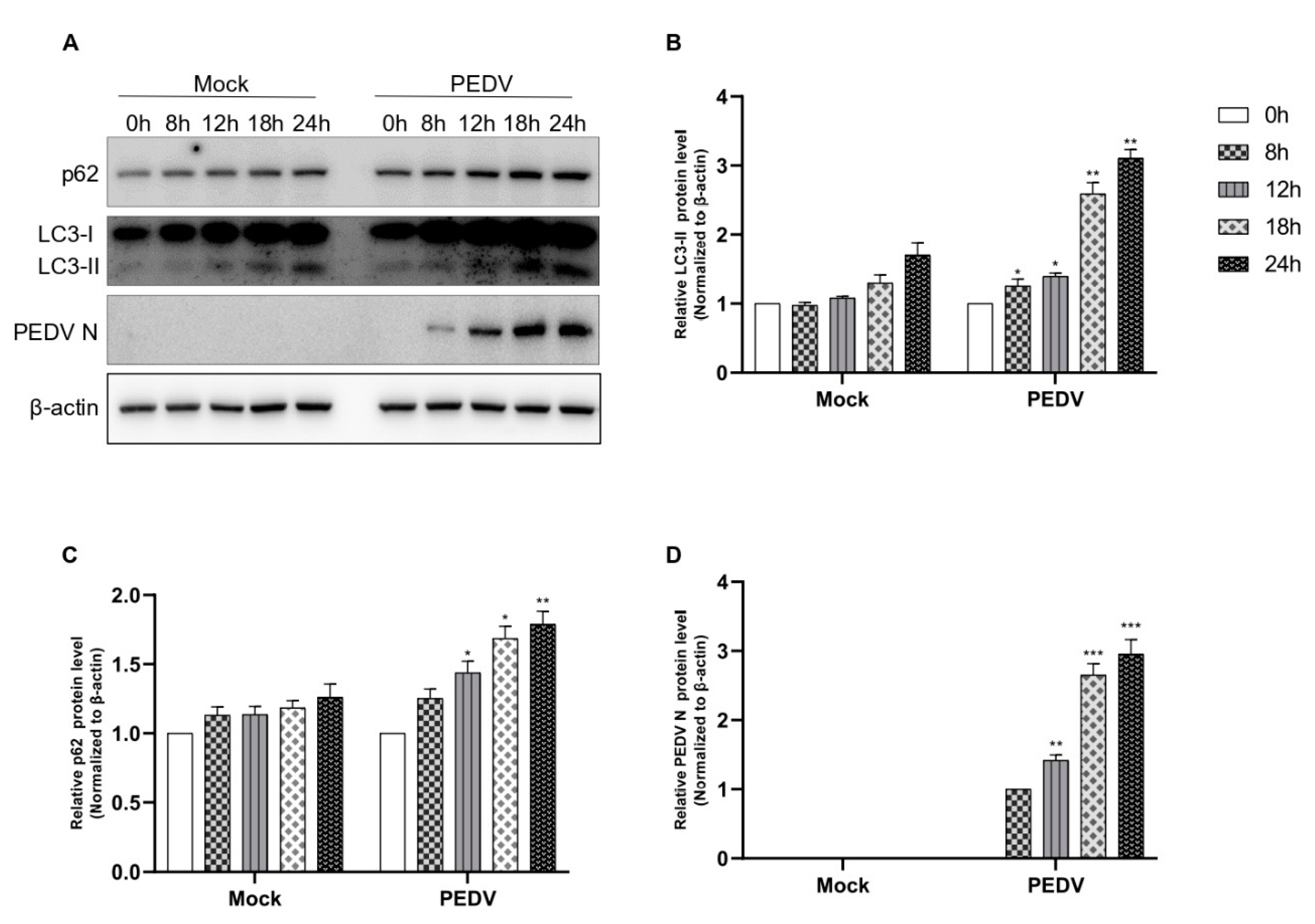 Viruses 14 01050 g003