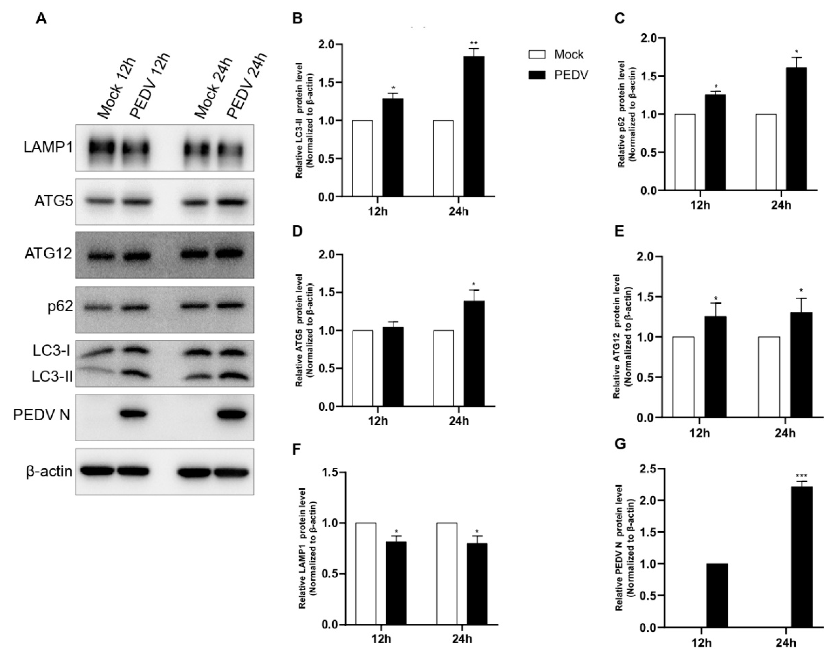 Viruses 14 01050 g006