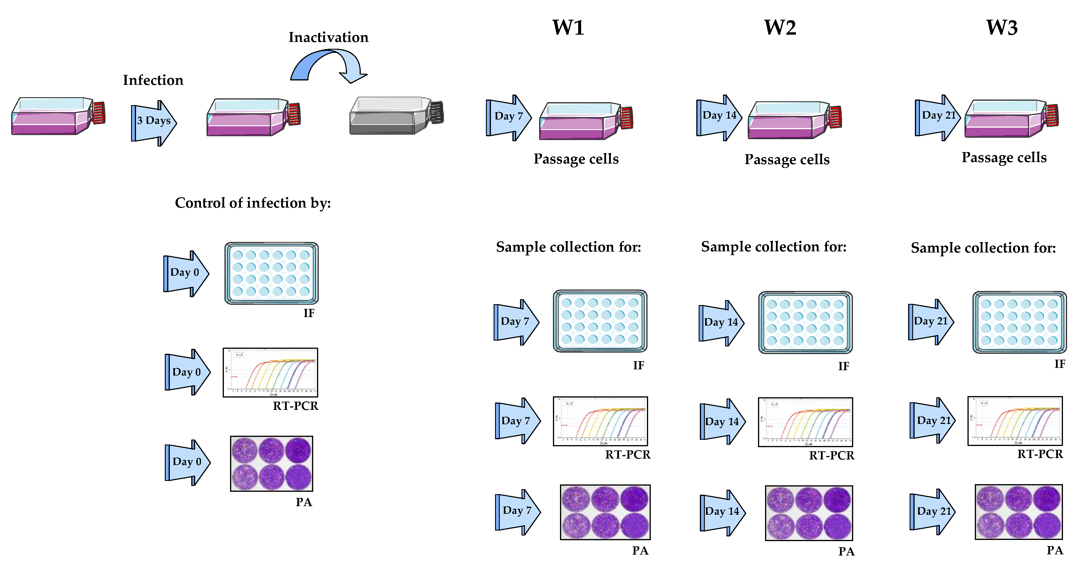 Viruses 14 01052 g001