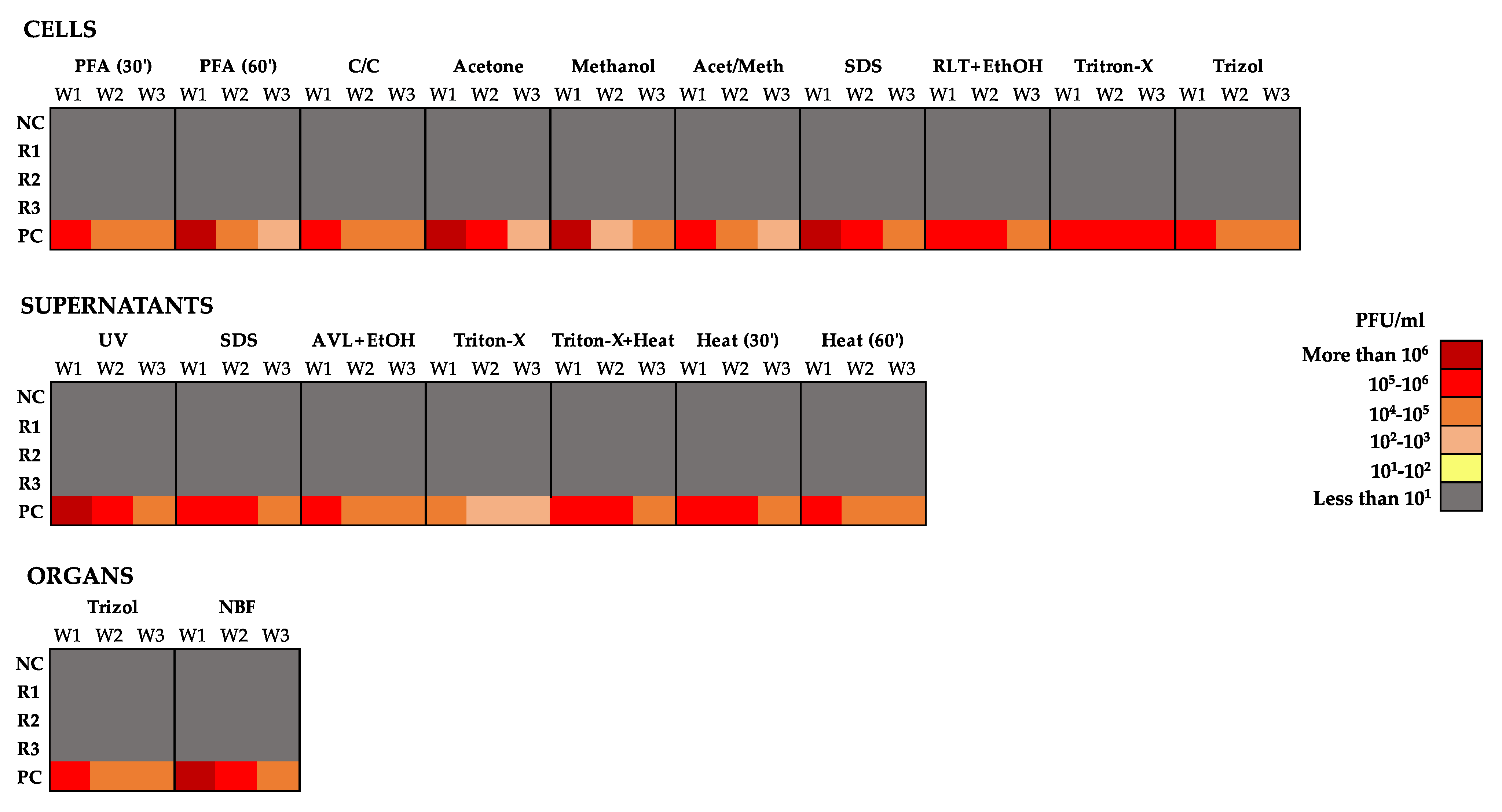 Viruses 14 01052 g006