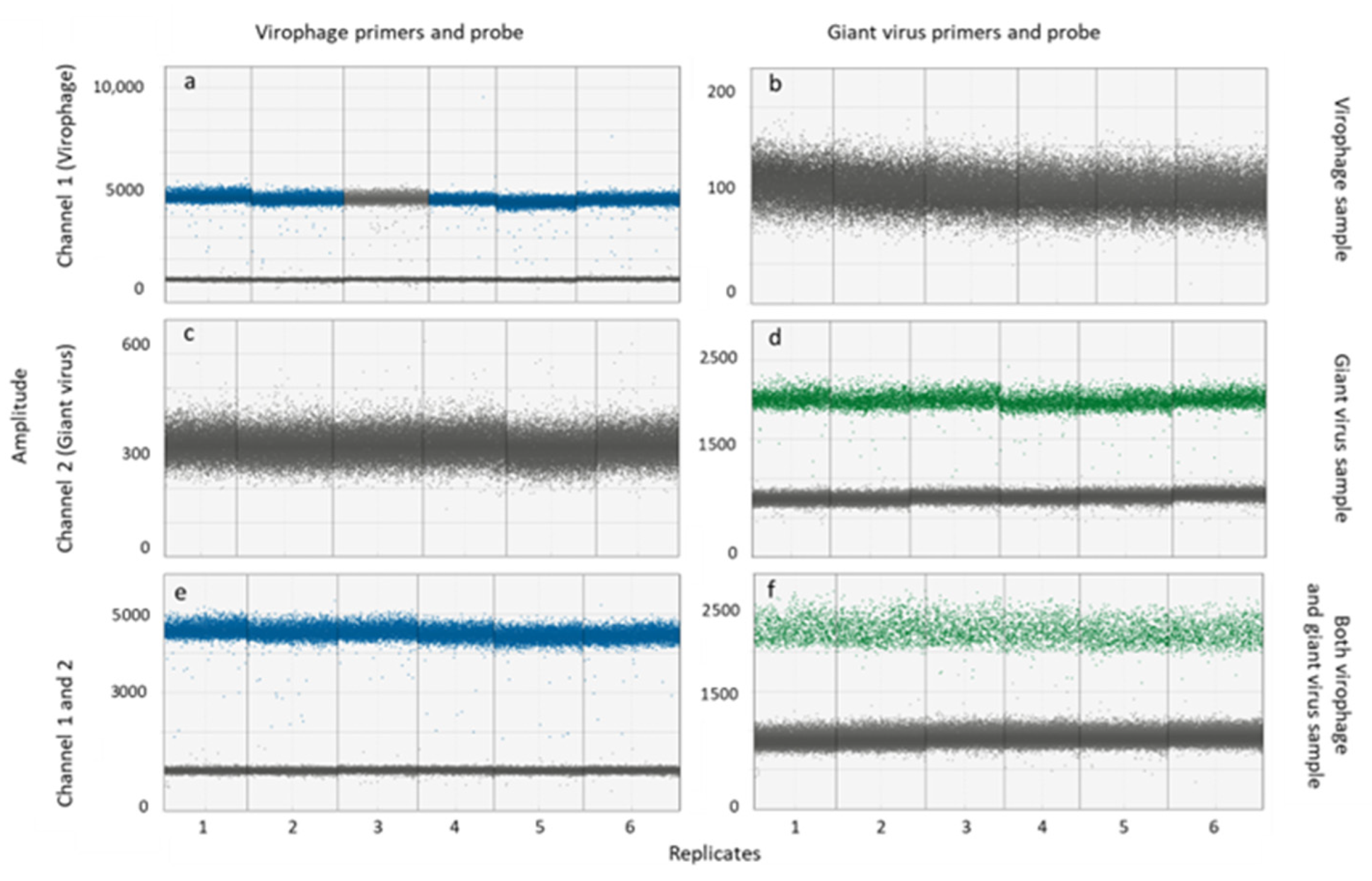 Viruses 14 01056 g001