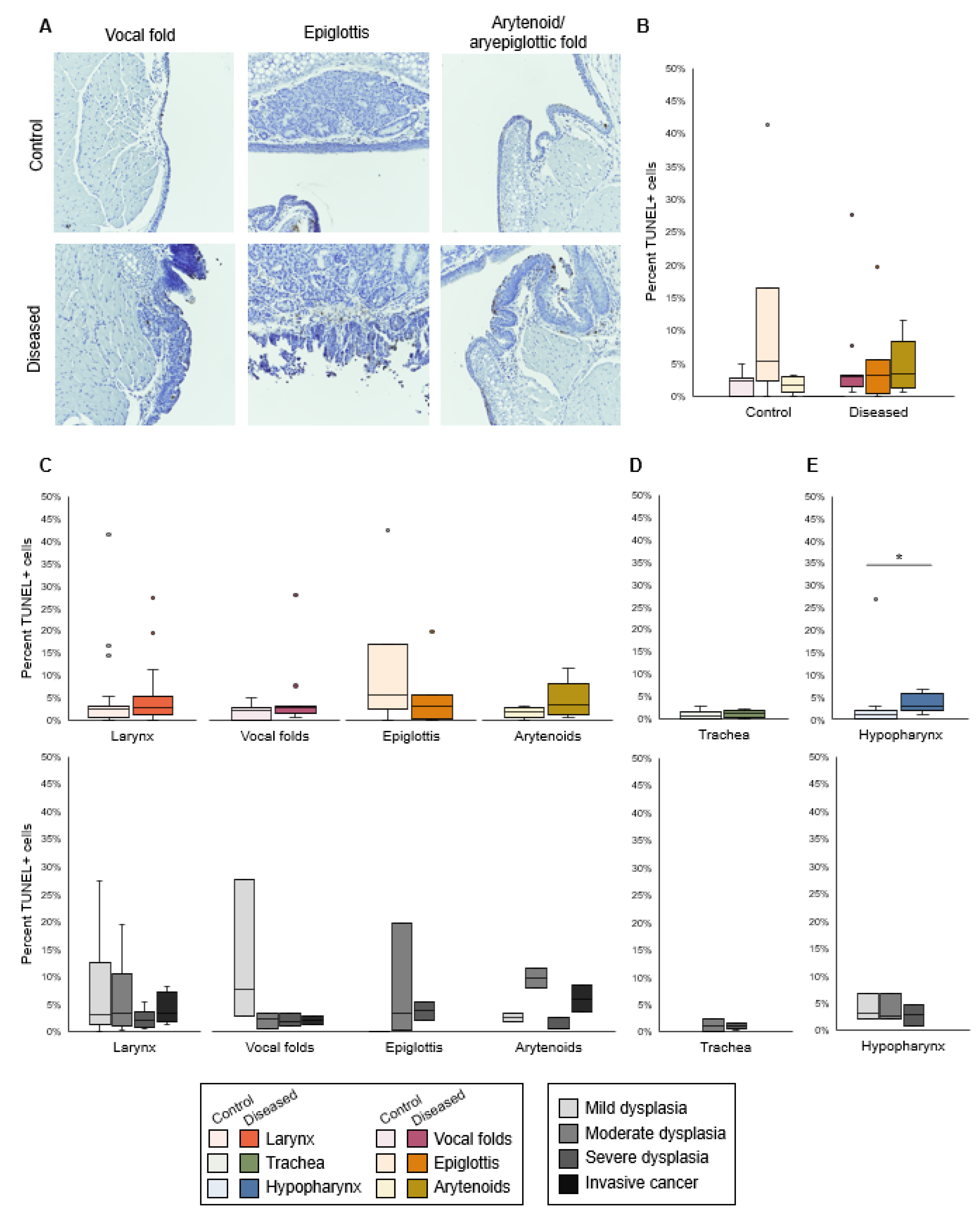 Viruses 14 01059 g003