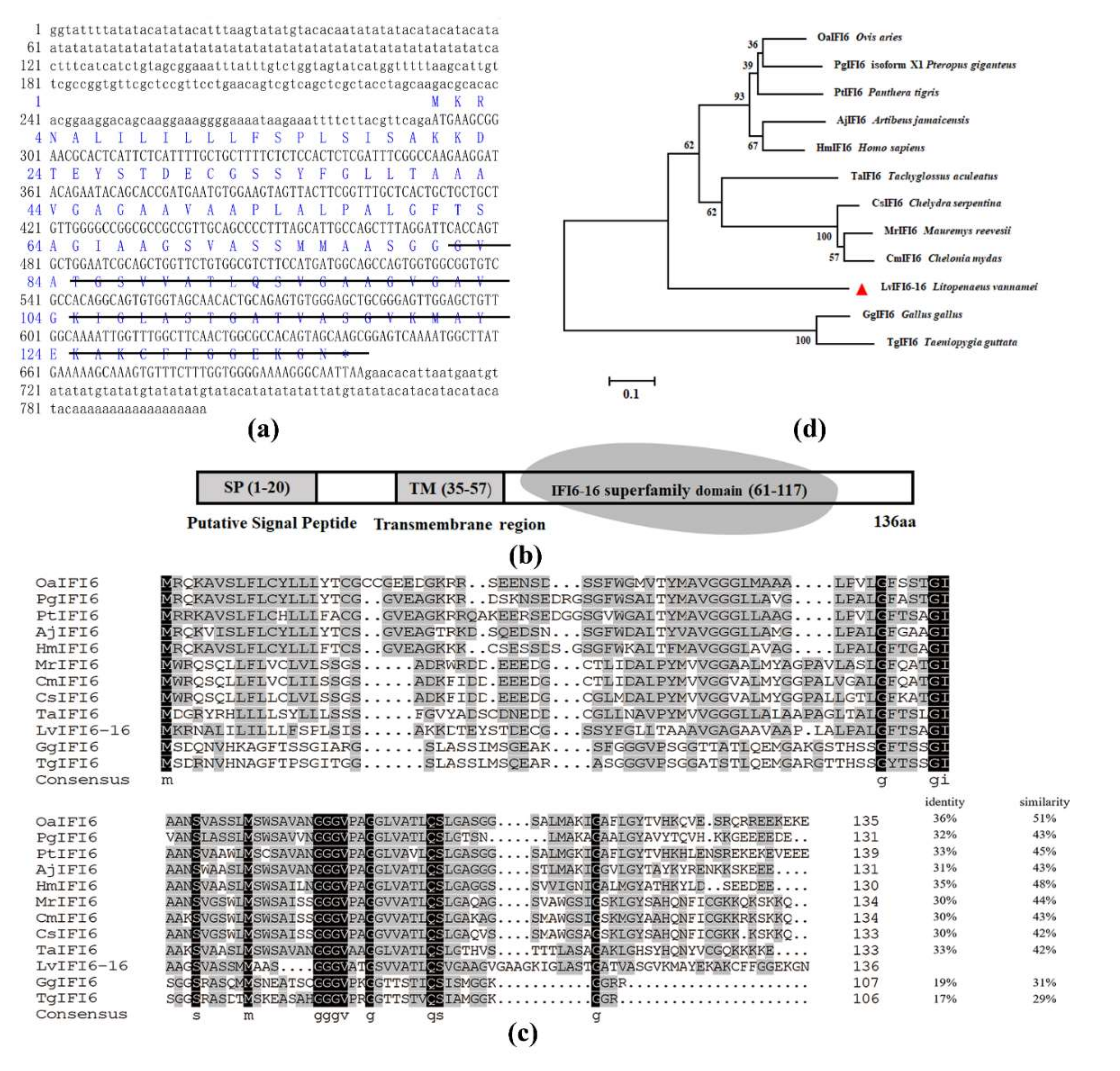 Viruses 14 01062 g001