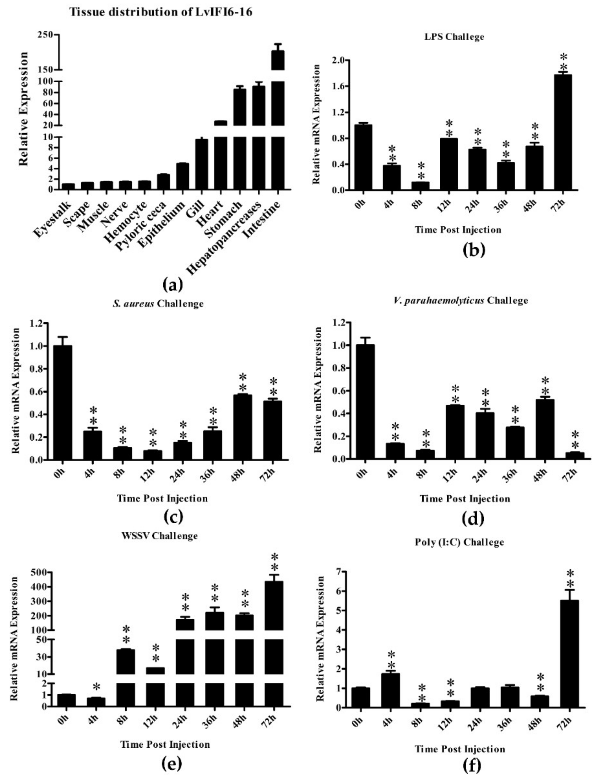 Viruses 14 01062 g002