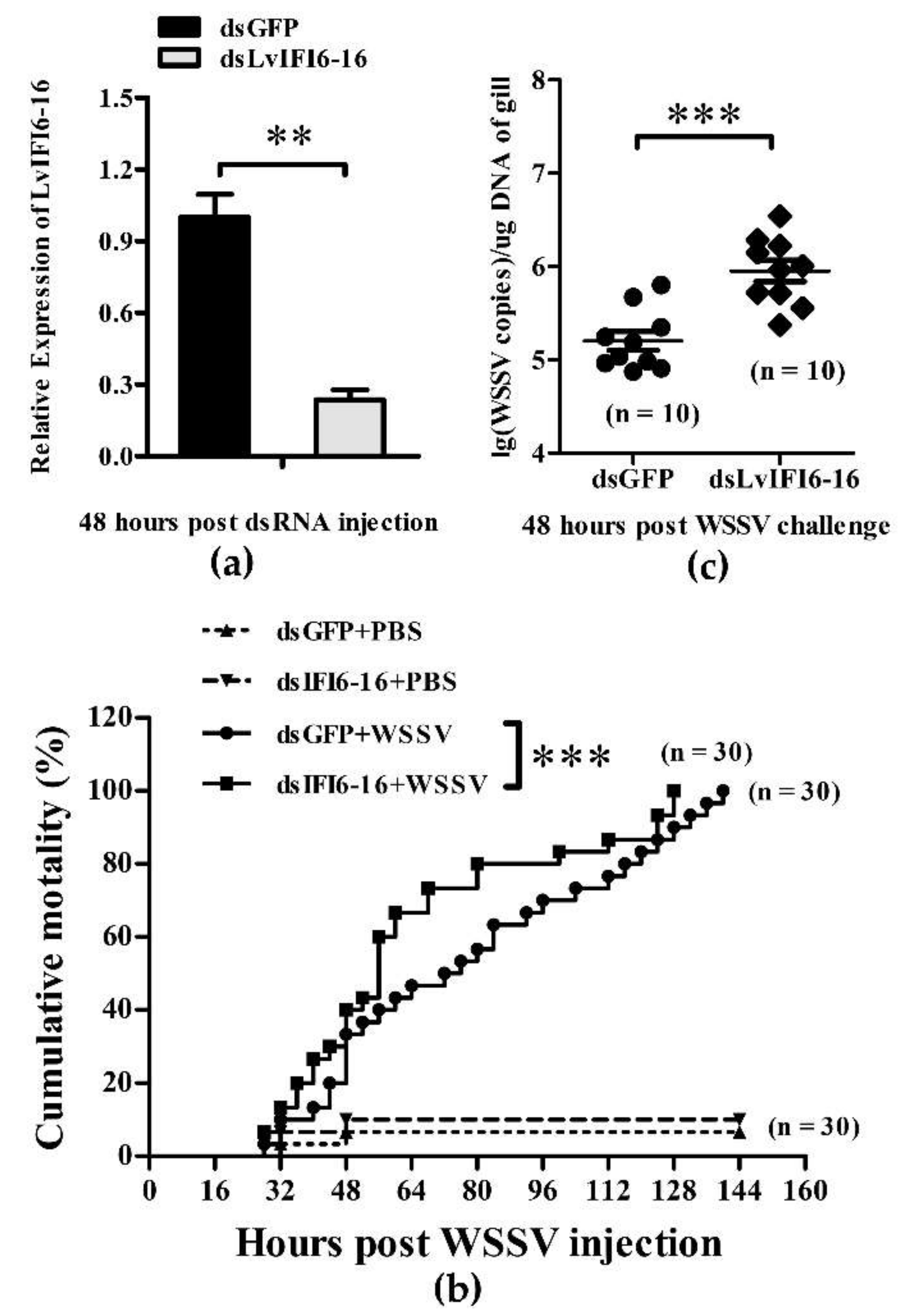 Viruses 14 01062 g004