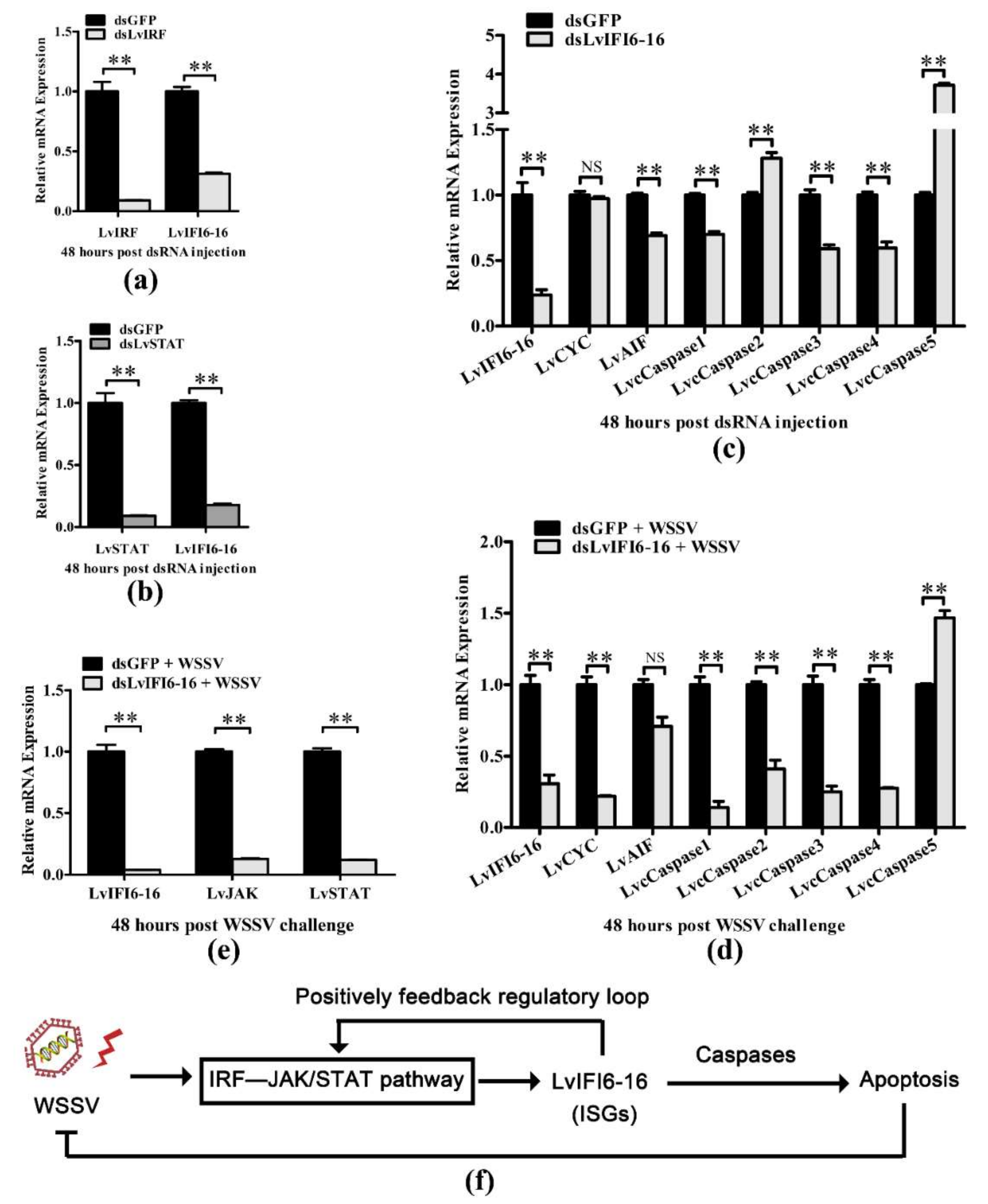Viruses 14 01062 g005