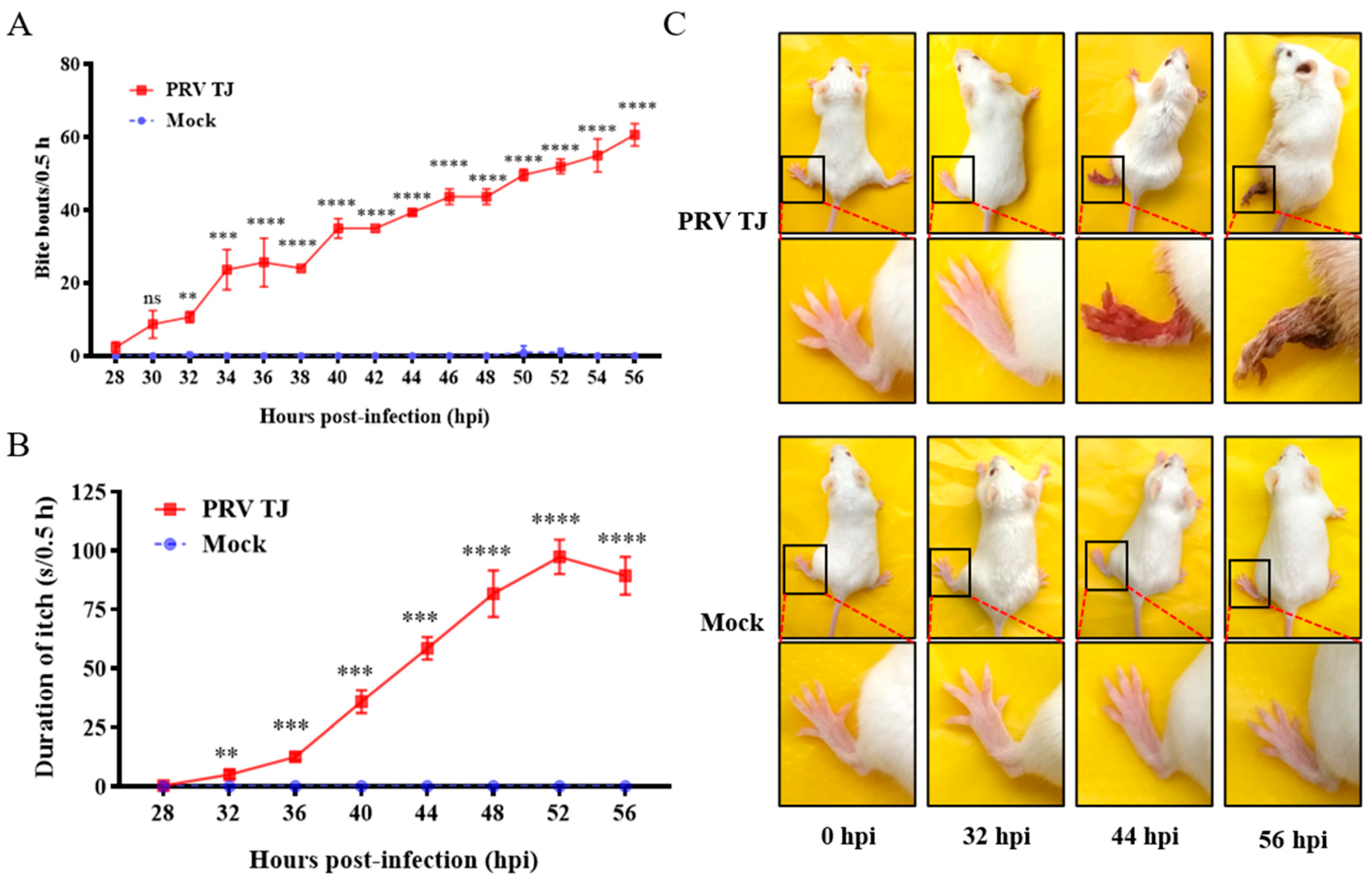 Viruses 14 01067 g001