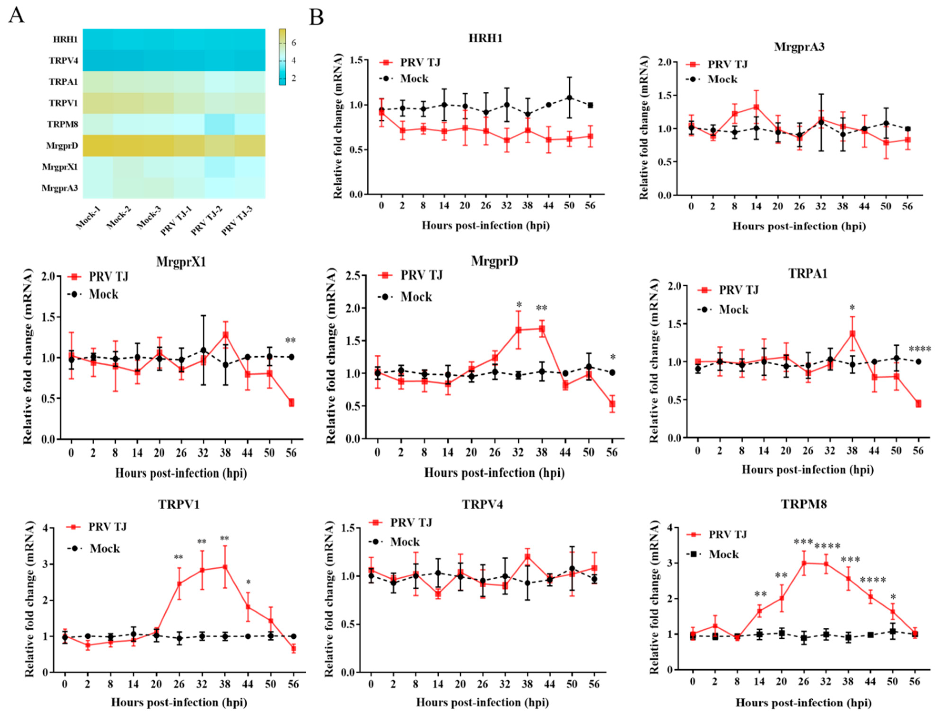 Viruses 14 01067 g002