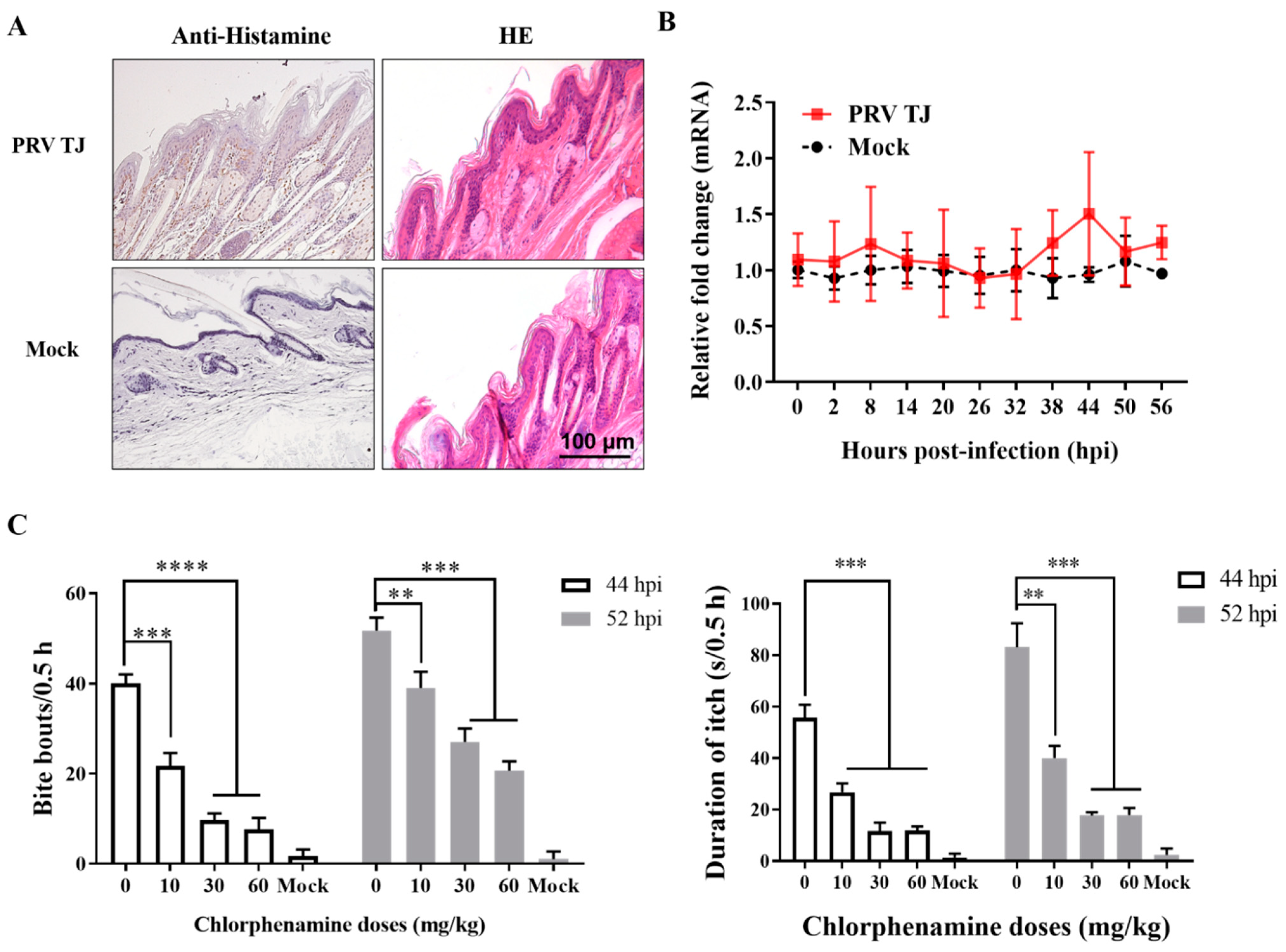 Viruses 14 01067 g004