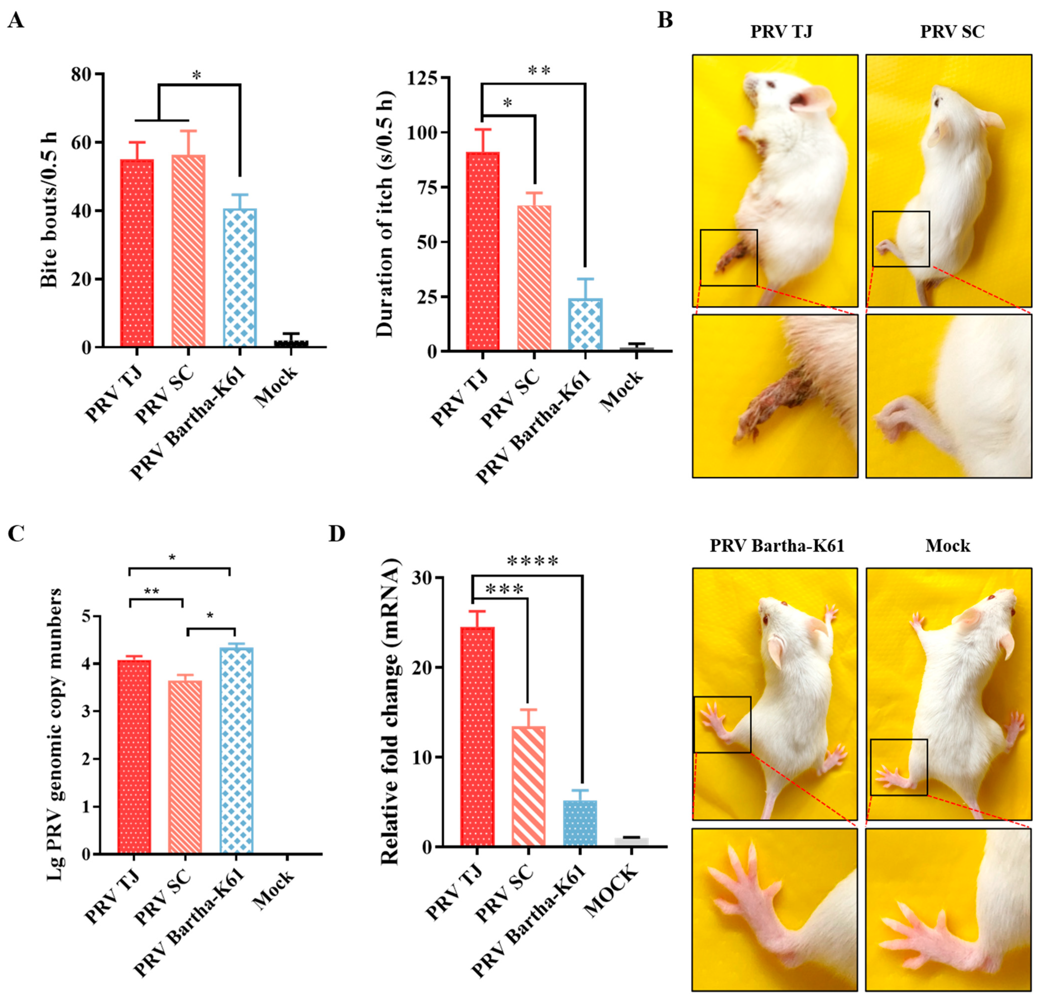 Viruses 14 01067 g005