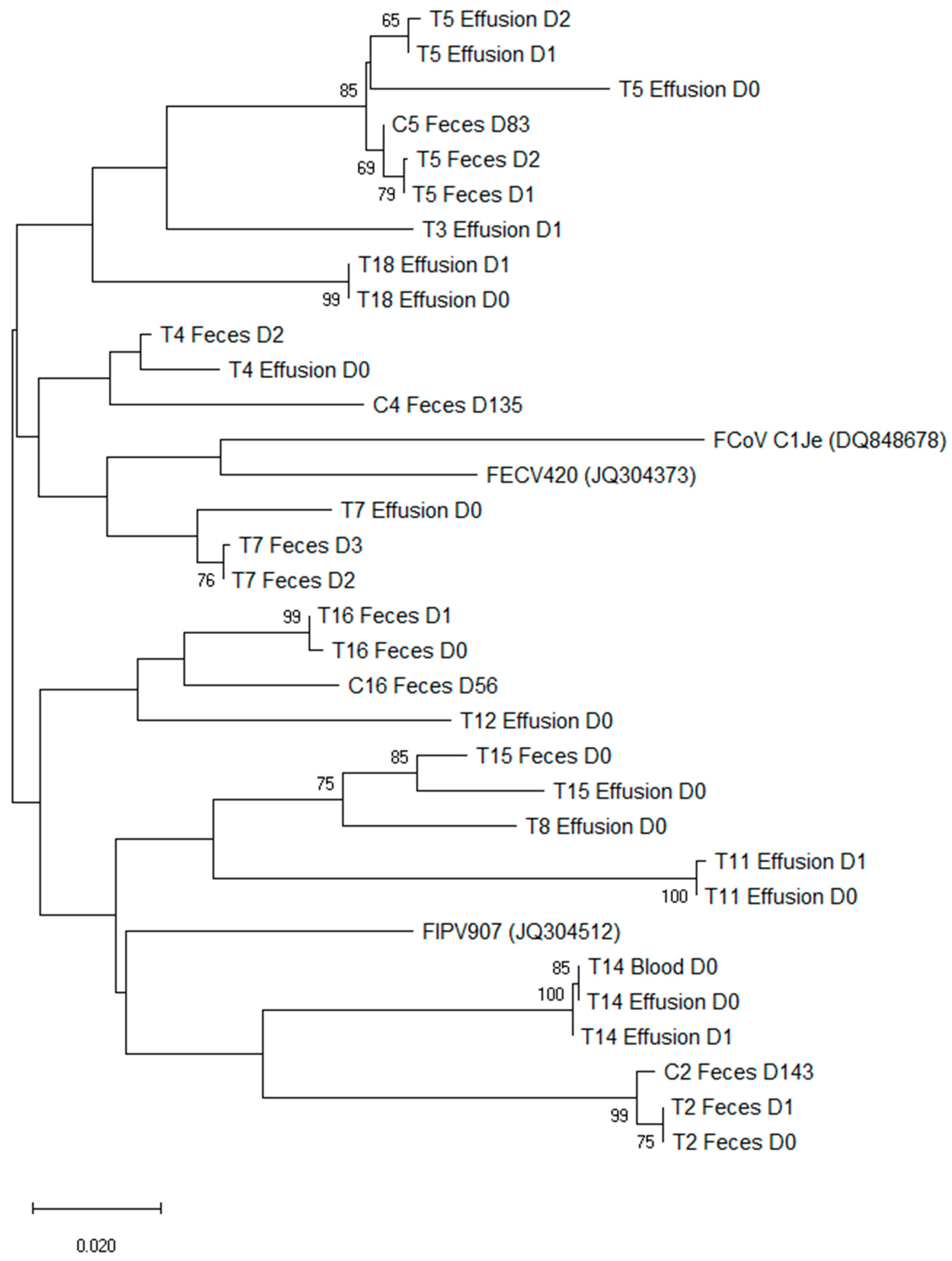 Viruses 14 01069 g005