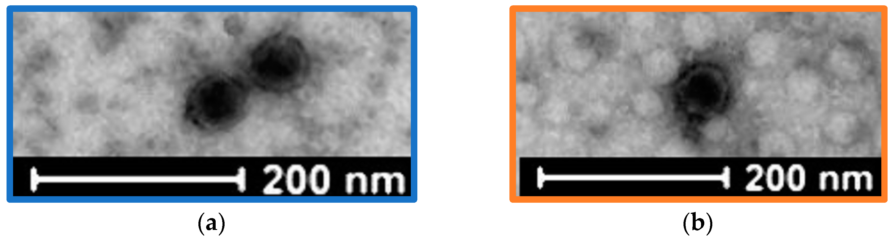 Viruses 14 01079 g001