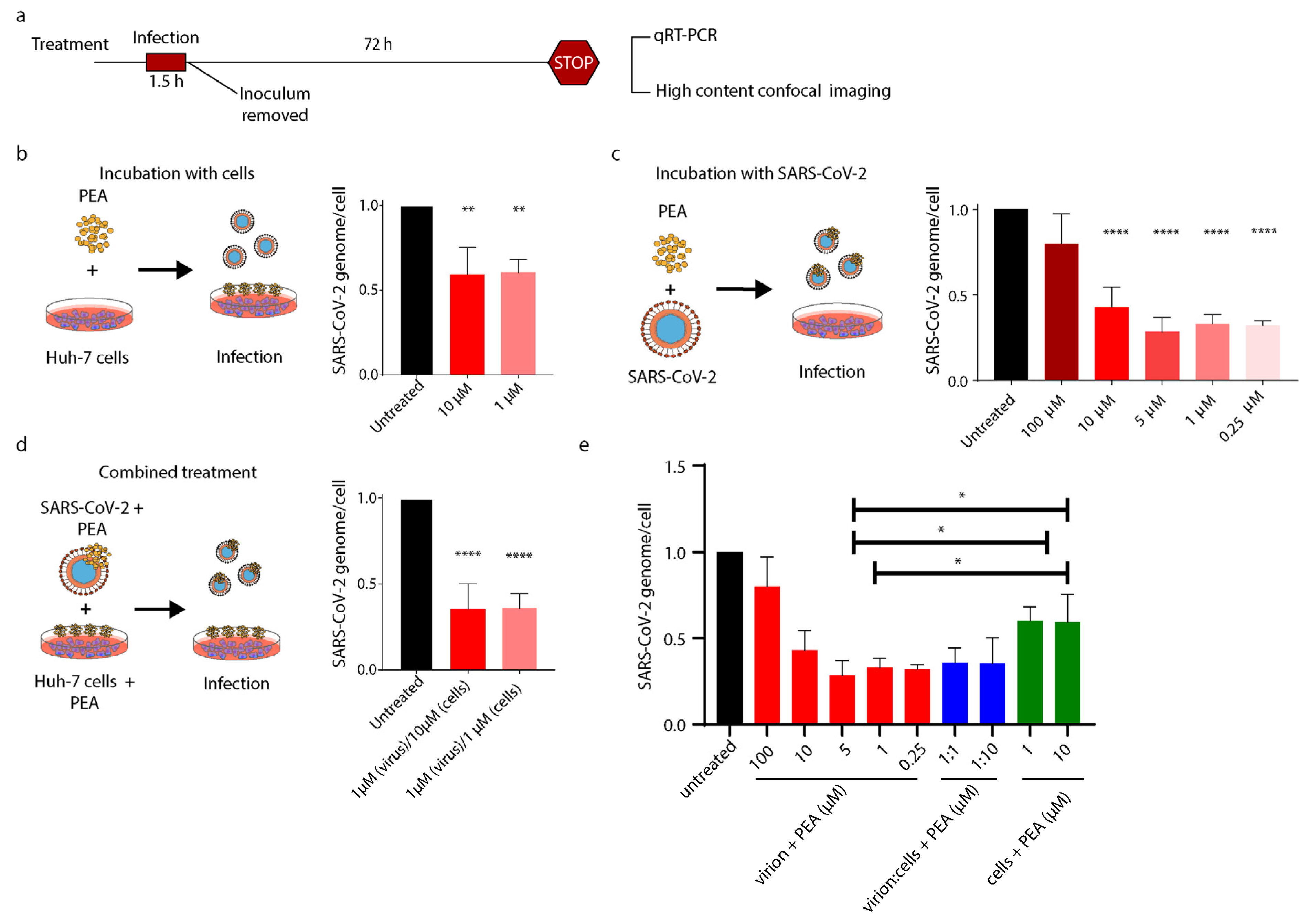 Viruses 14 01080 g005