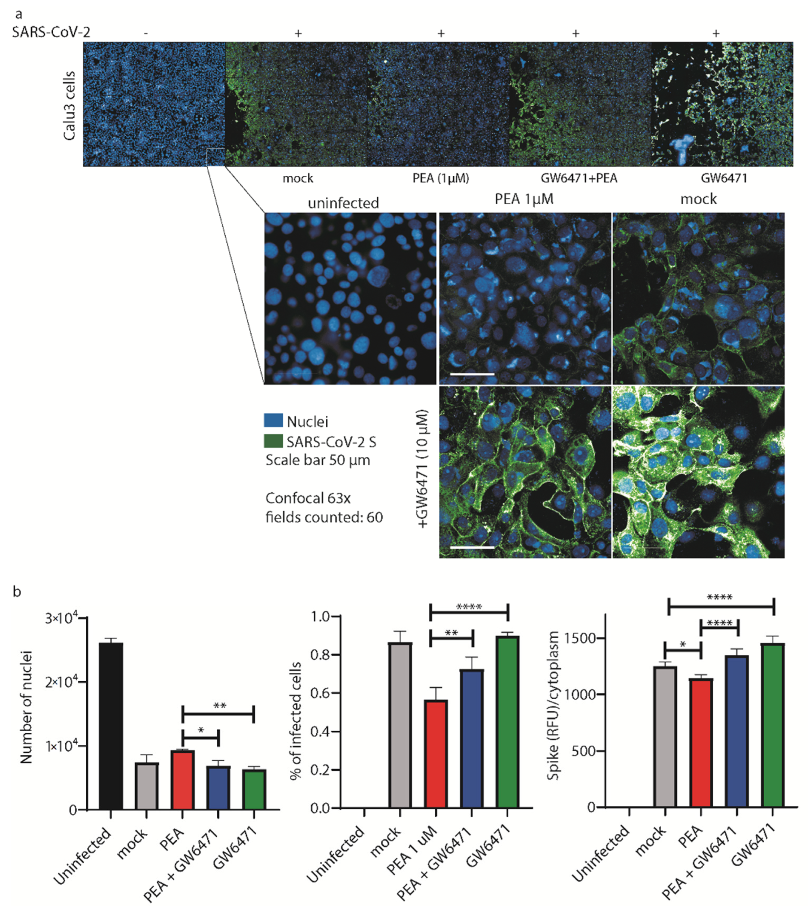 Viruses 14 01080 g007