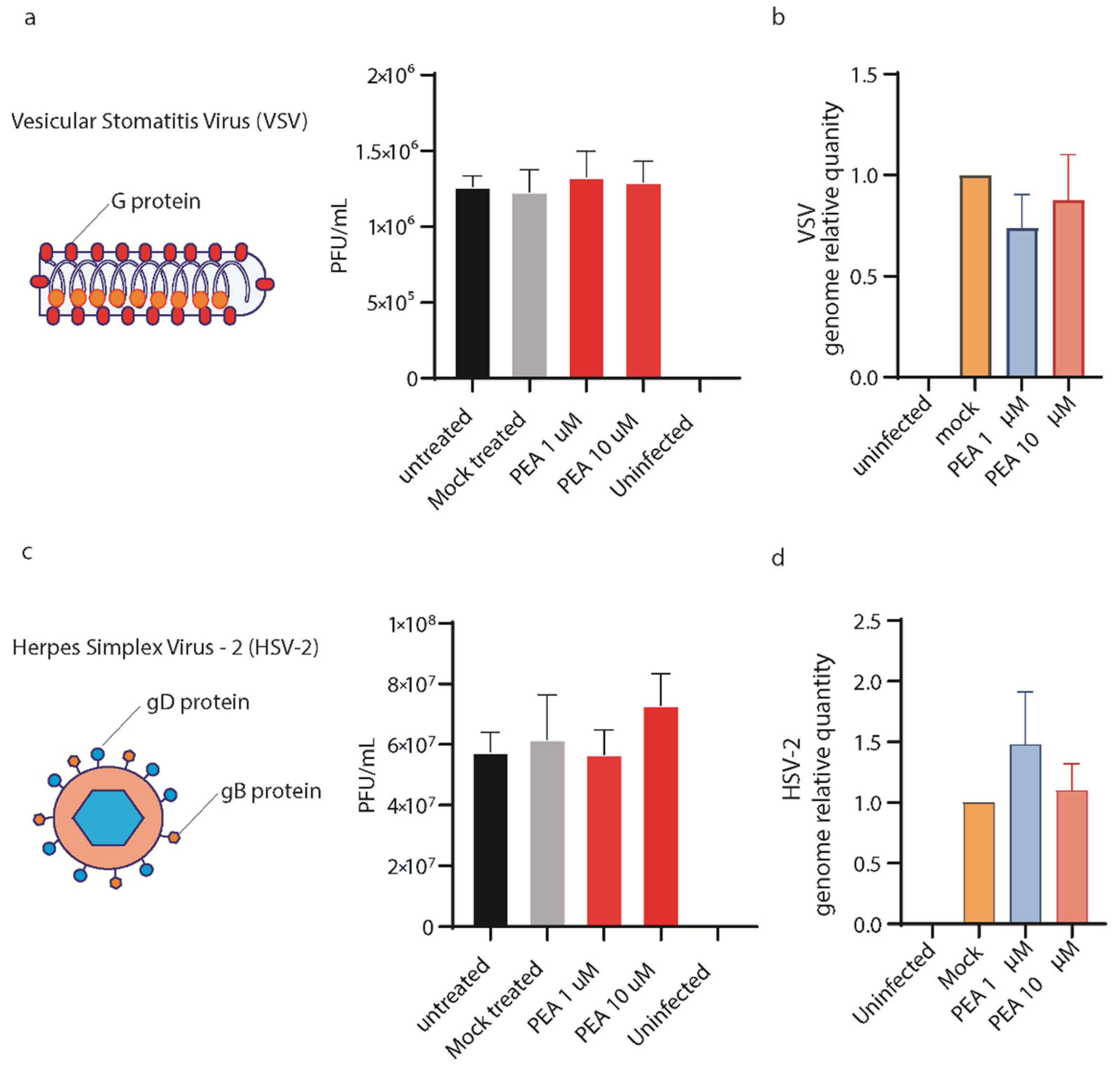 Viruses 14 01080 g009