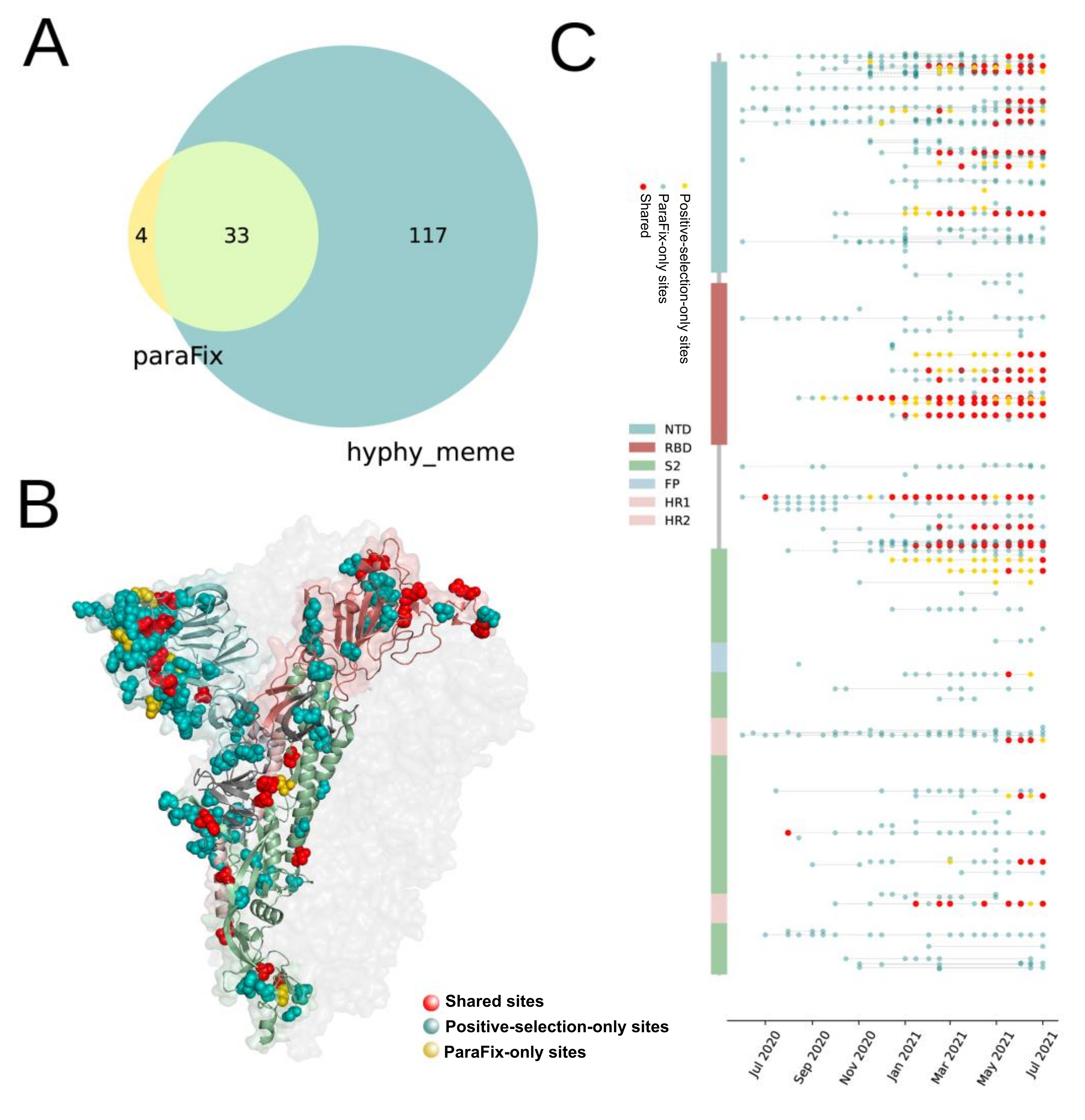 Viruses 14 01087 g003