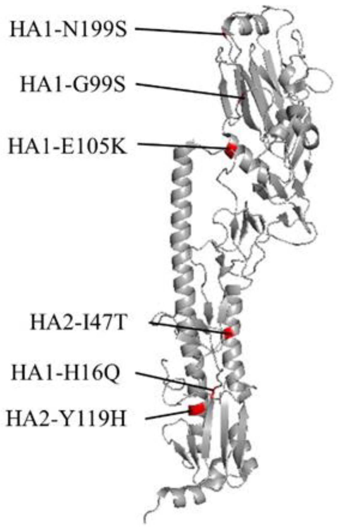 Viruses 14 01091 g002 Viruses 14 01091 g002