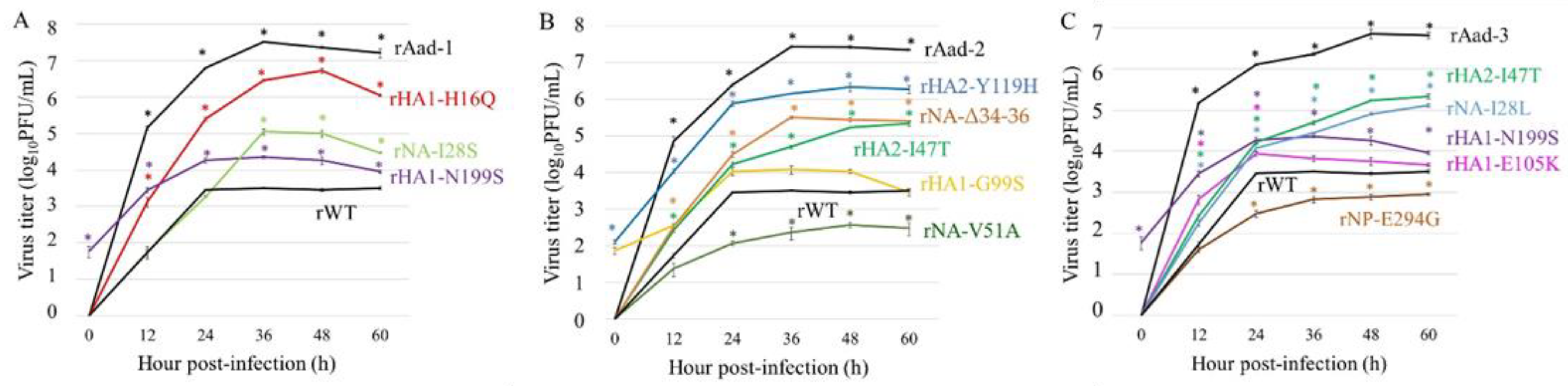 Viruses 14 01091 g004 Viruses 14 01091 g004