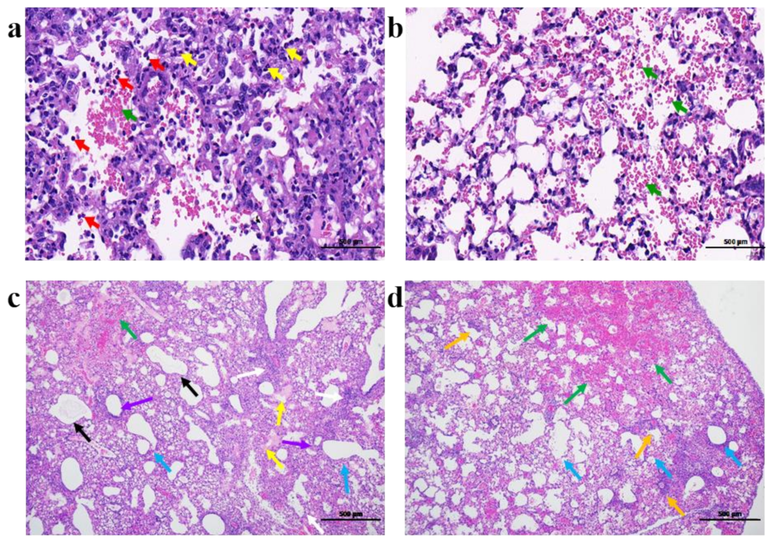 Viruses 14 01097 g002 Viruses 14 01097 g002