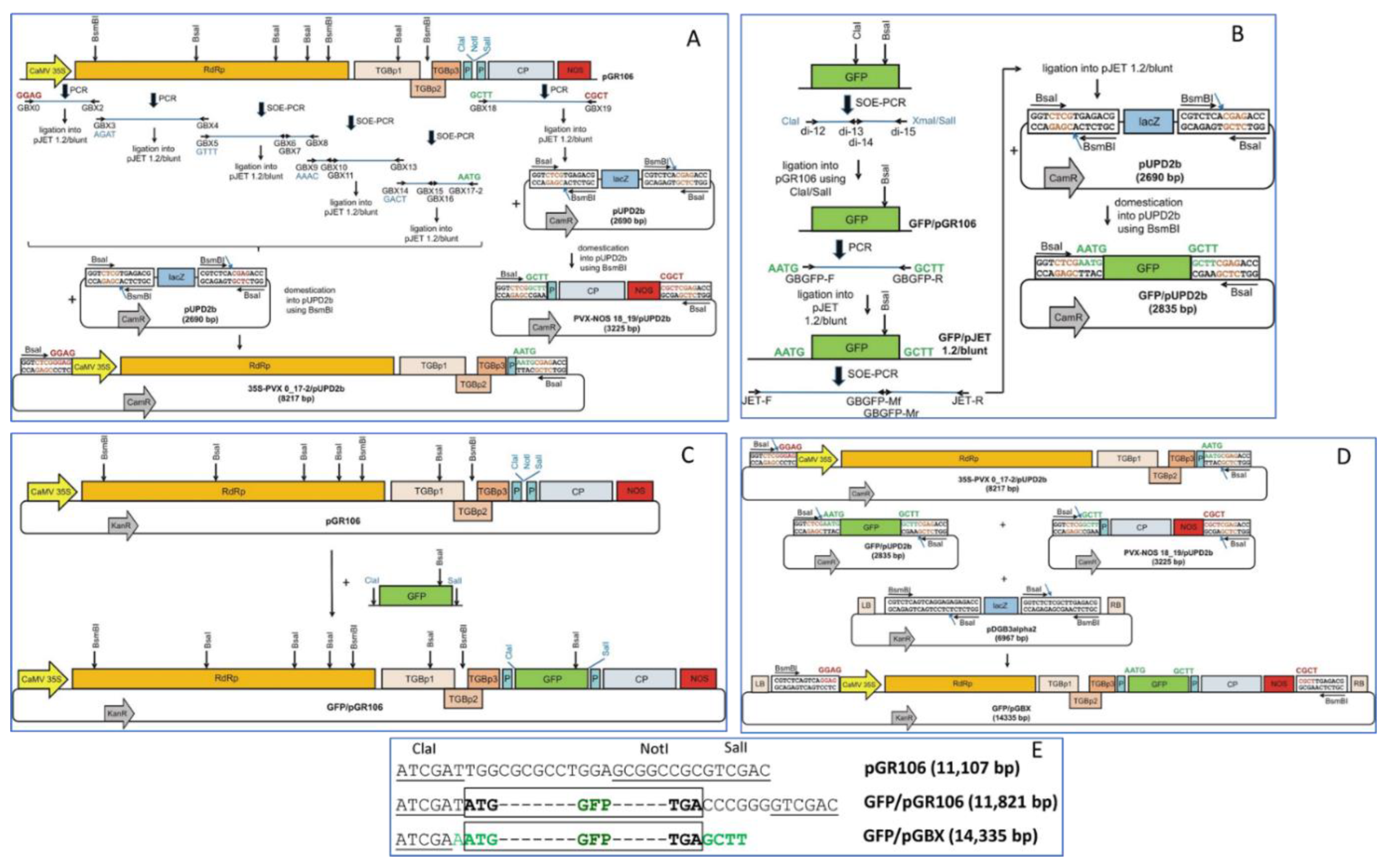 Viruses 14 01099 g001
