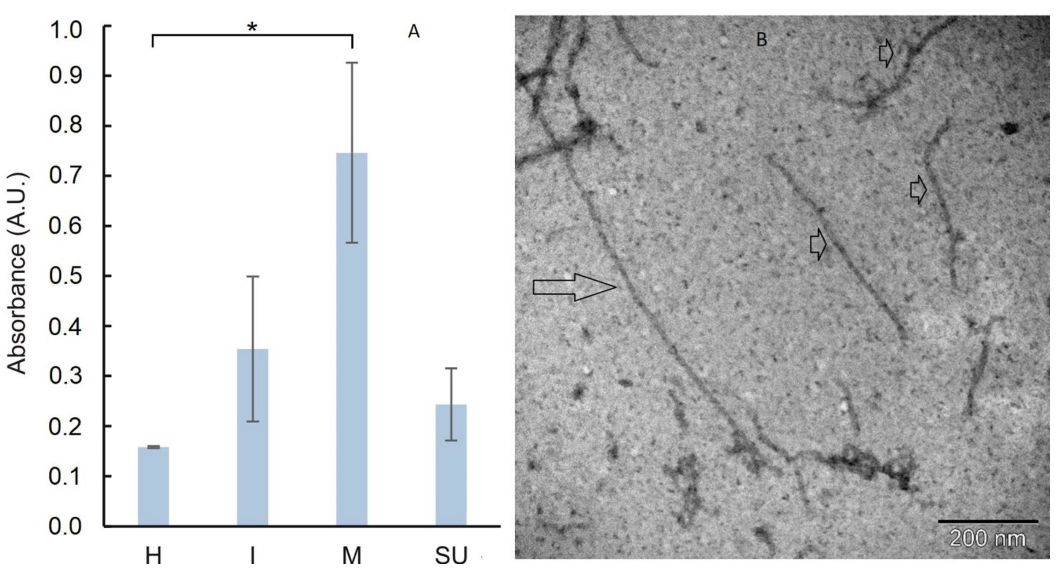 Viruses 14 01099 g003