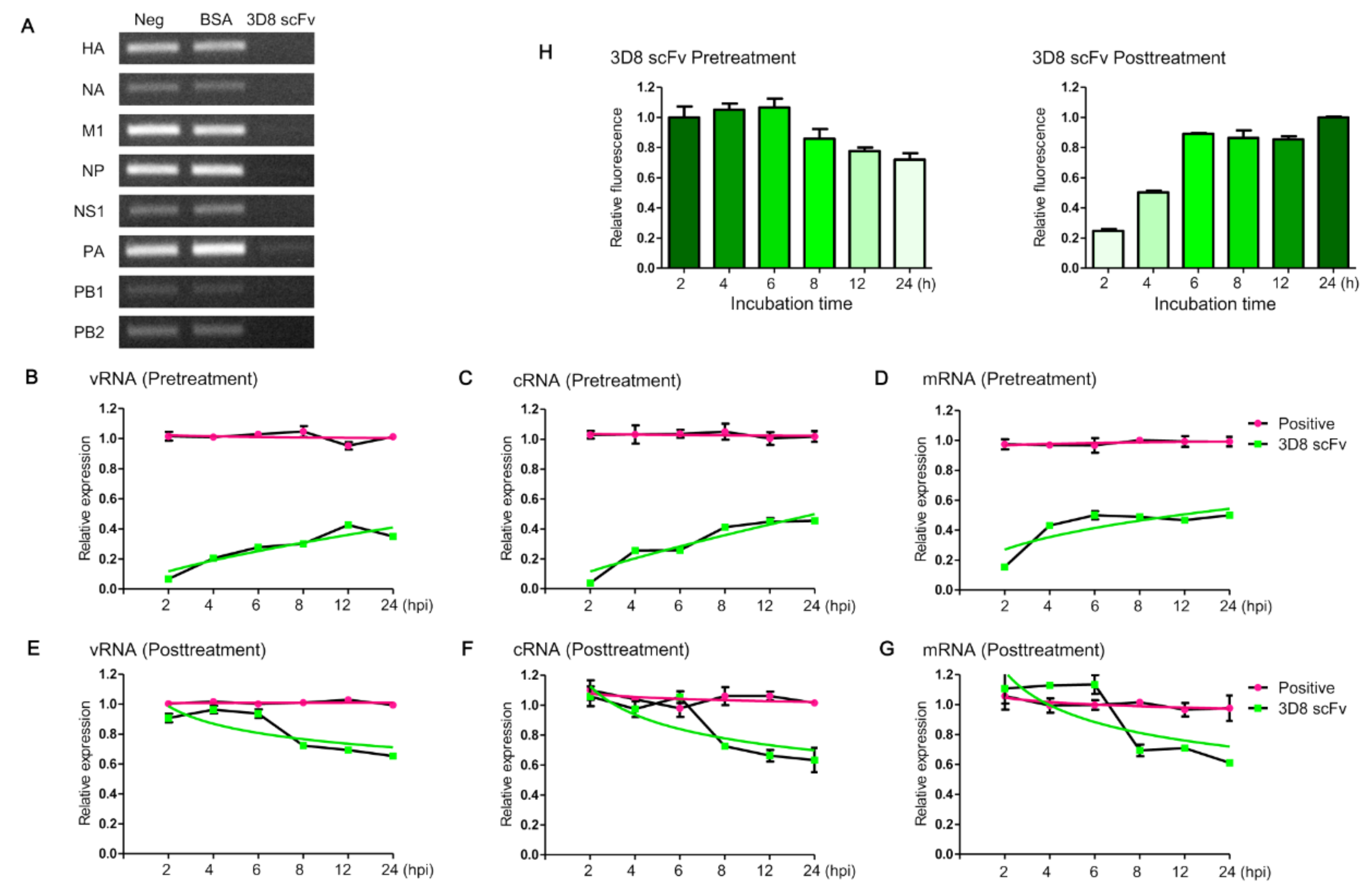 Viruses 14 01105 g002
