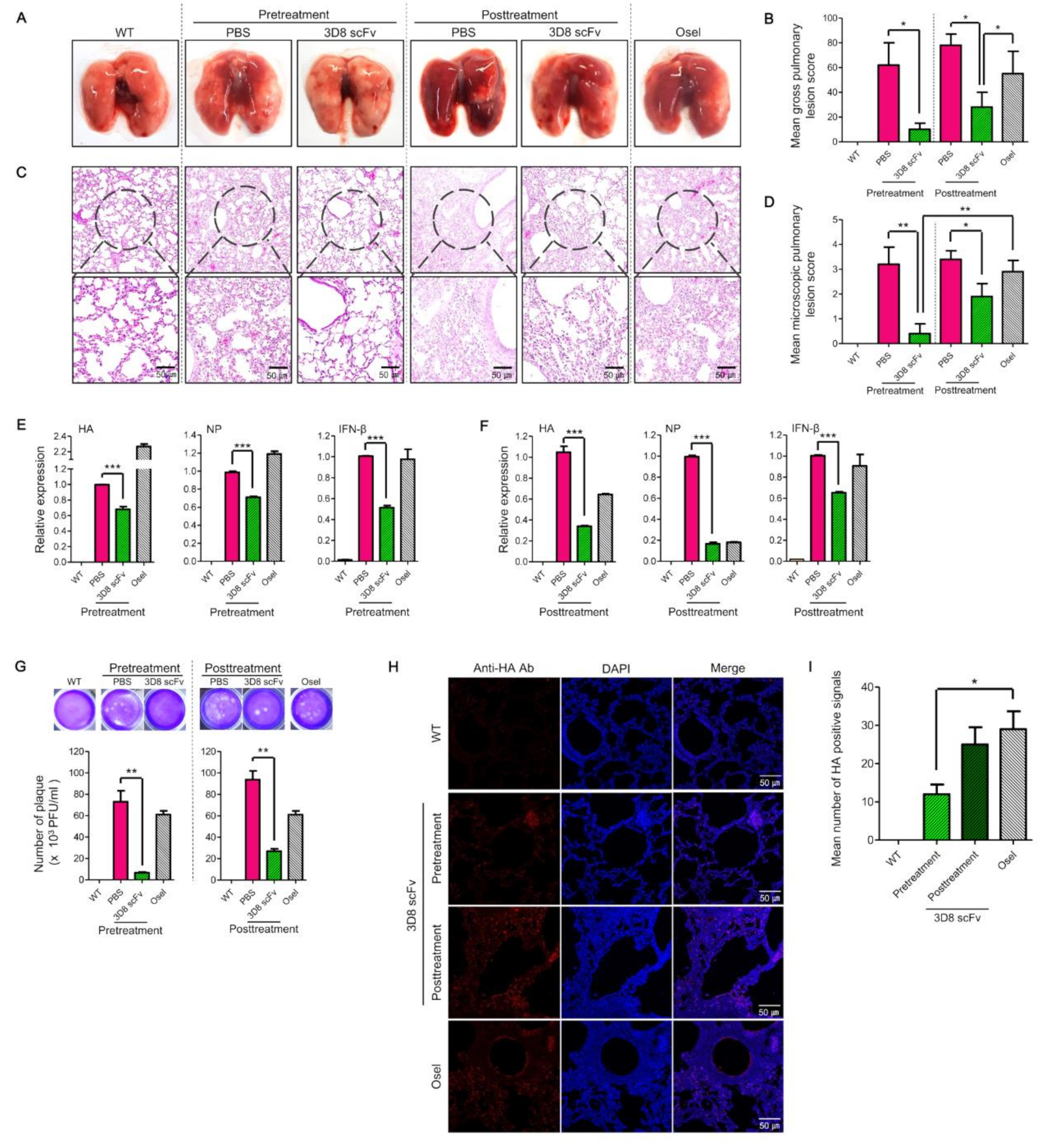 Viruses 14 01105 g004