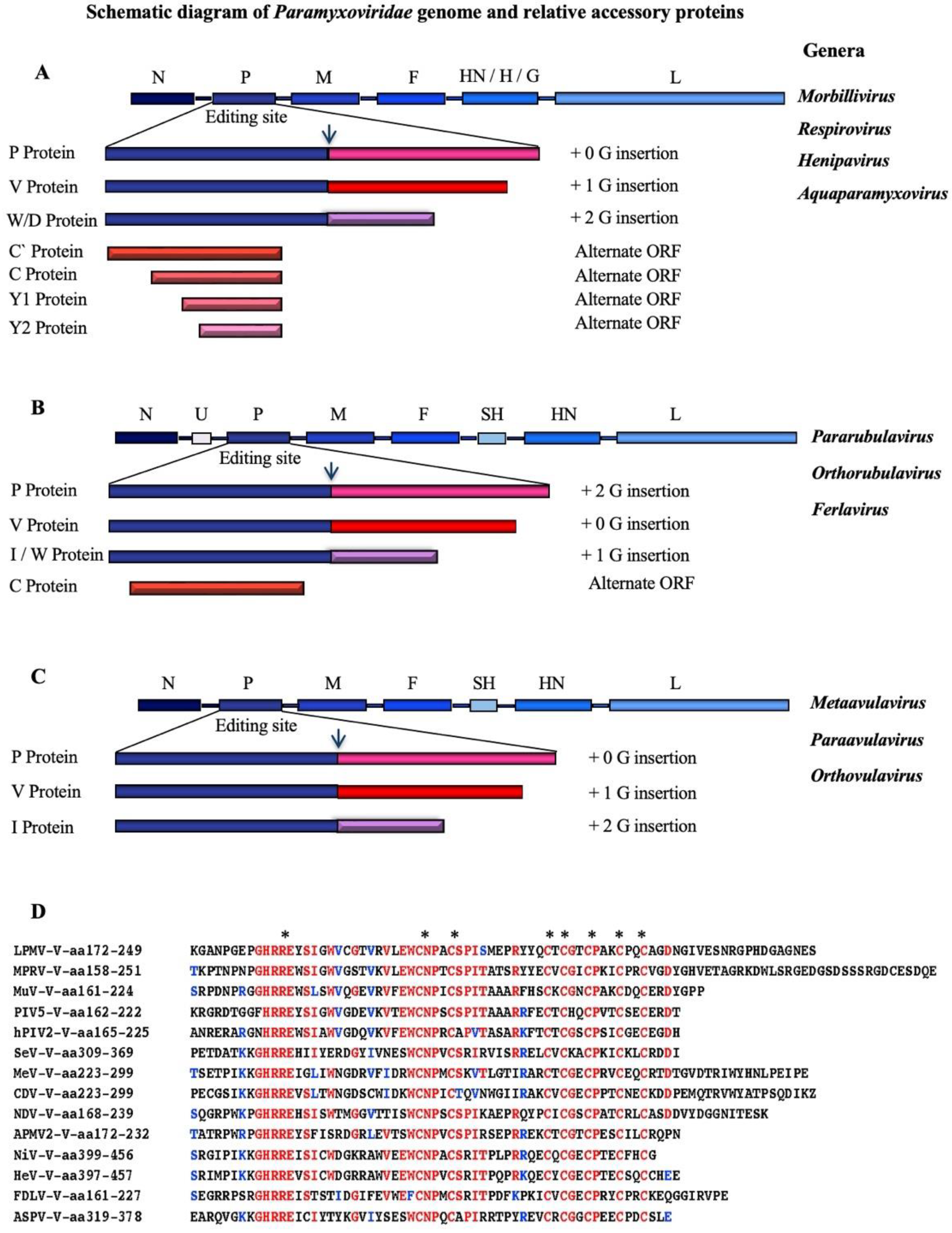 Viruses 14 01107 g001